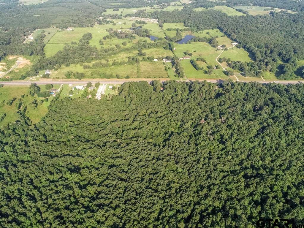 259 & Sego Lily Road Diana, TX 75640 - Photo 15 of 22