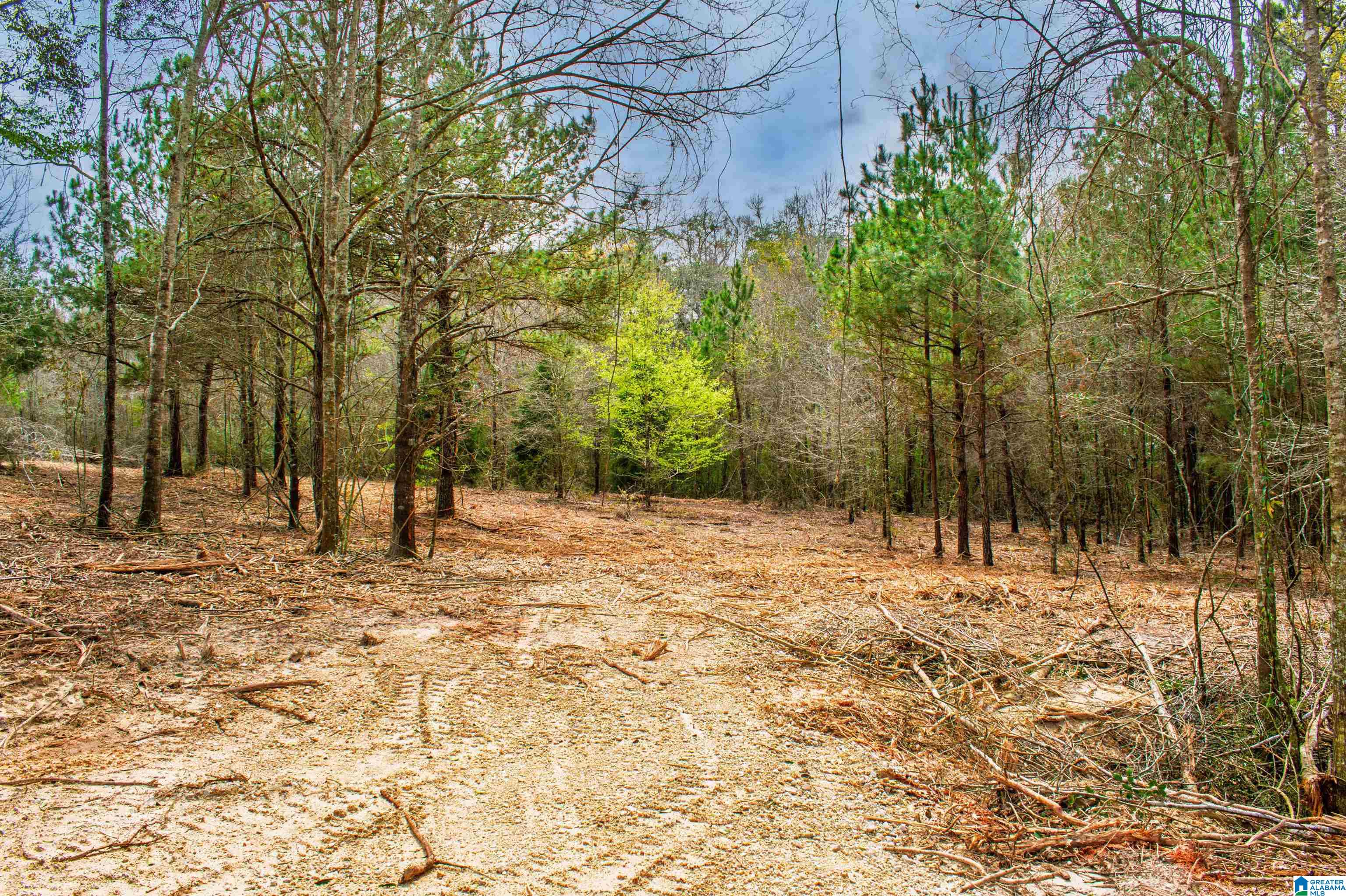 27180 Deer Run Road Opp, AL 36467 - Photo 52 of 60