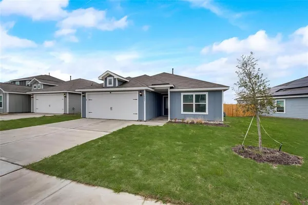 a view of a yard in front of a house with plants and large tree