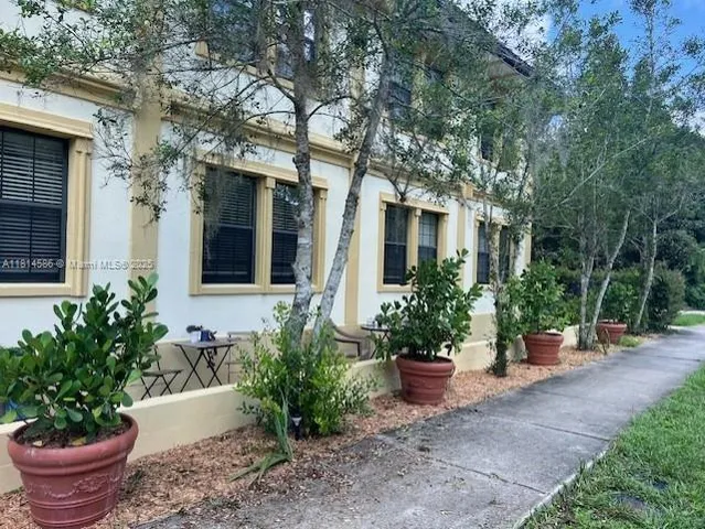 a view of a backyard with potted plants and a fountain