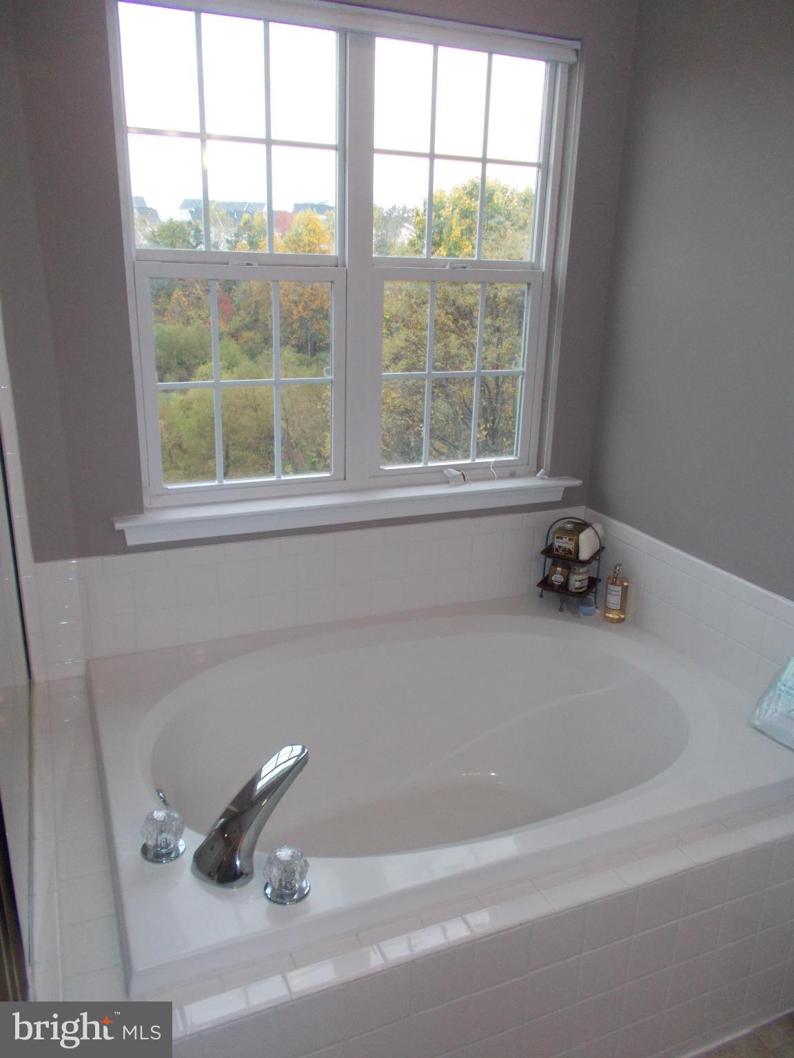 701 Longbow Road Mount Airy, MD 21771 - Photo 12 of 26 Bath (Master)