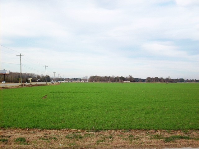 1778 Highway 21 Atmore, AL 36502 - Photo 3 of 6