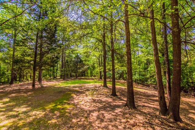 130 Pooles Road Gaffney, SC 29341 - Photo 2 of 25
