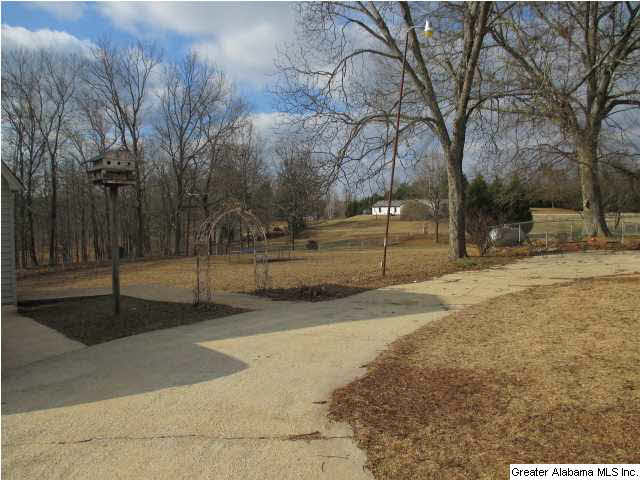 9258 Tingle Cutoff Road Dora, AL 35062 - Photo 26 of 28