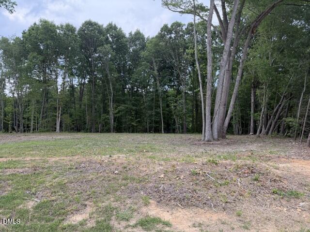 8 Heath Lane Roxboro, NC 27574 - Photo 2 of 13