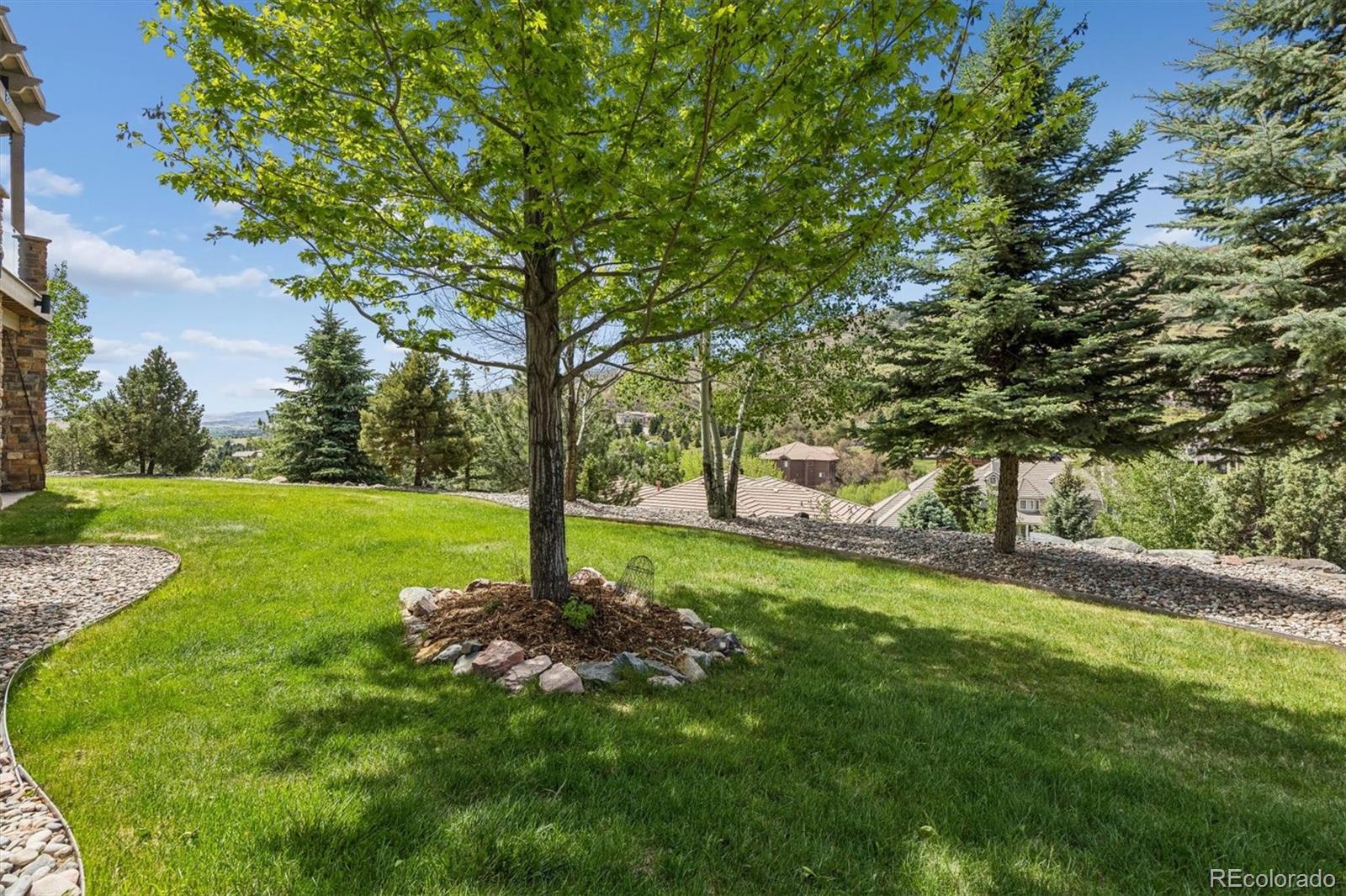 16422 Rocky Point Lane Morrison, CO 80465 - Photo 46 of 50 a view of a trees with a yard