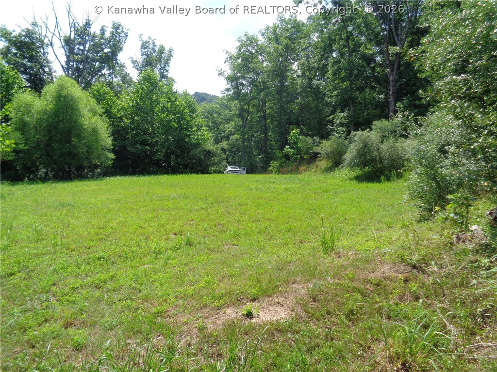 0 Beechie Fork Road Alum Creek, WV 25003 - Photo 11 of 15 Gallery Image 11
