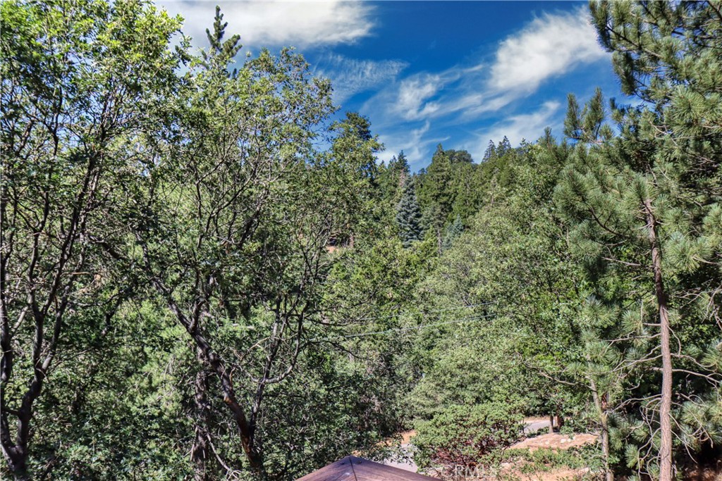 177 Craghill Drive Cedar Glen, CA 92321 - Photo 11 of 41