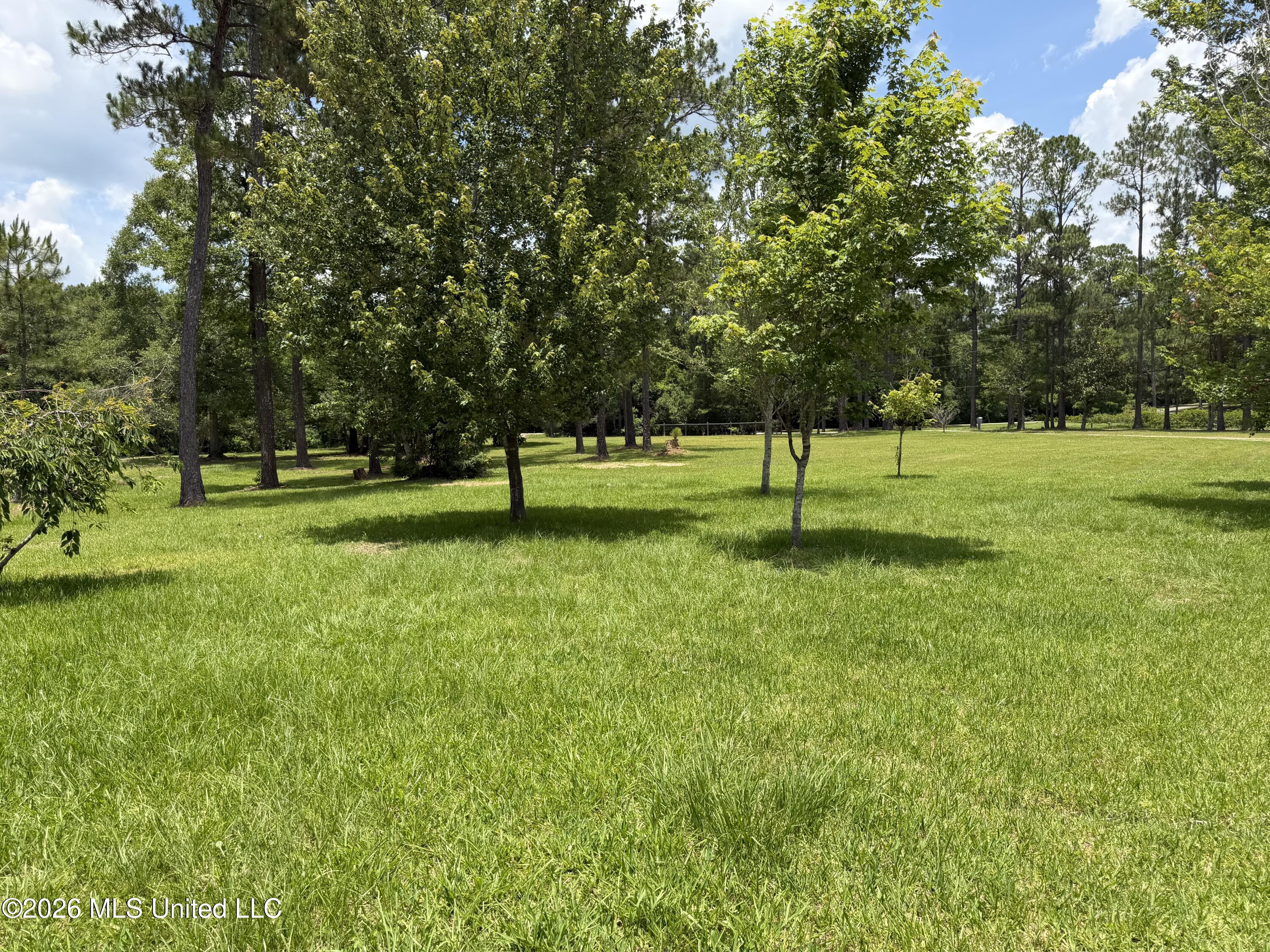 15527 Dobson Road Diberville, MS 39540 - Photo 25 of 25 IMG_0613