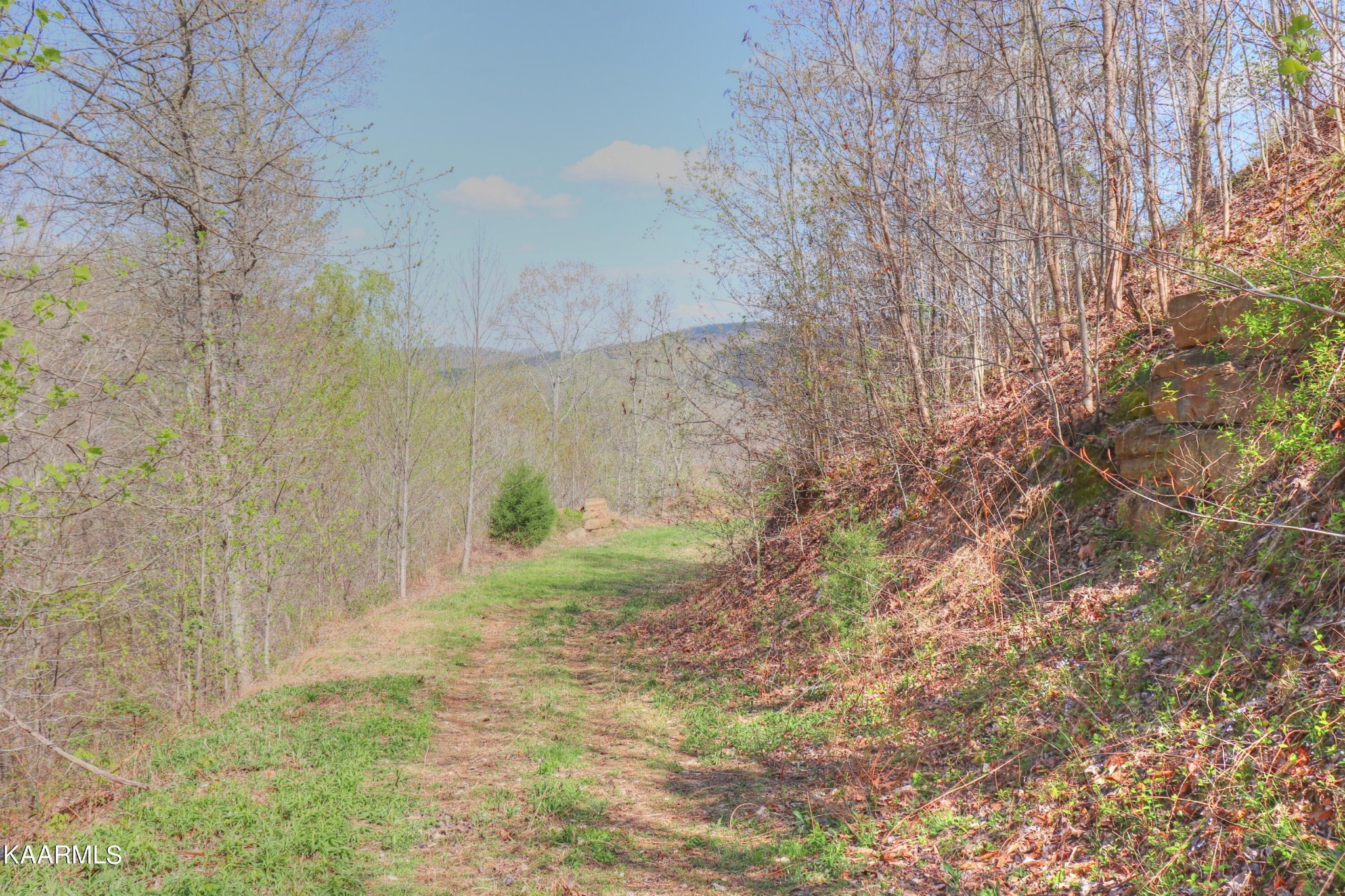 873 Clearwater Road New Tazewell, TN 37825 - Photo 15 of 38