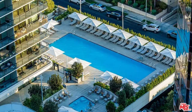 a view of a yard with plants