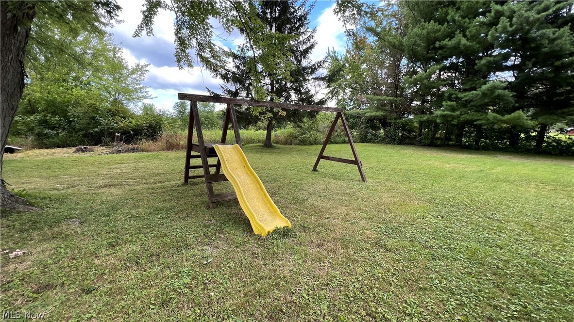 5545 Chippewa Road Chippewa Lake, OH 44215 - Photo 3 of 5 Swingset