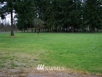 18645 Marble Street Southwest Rochester, WA 98579 - Photo 1 of 1