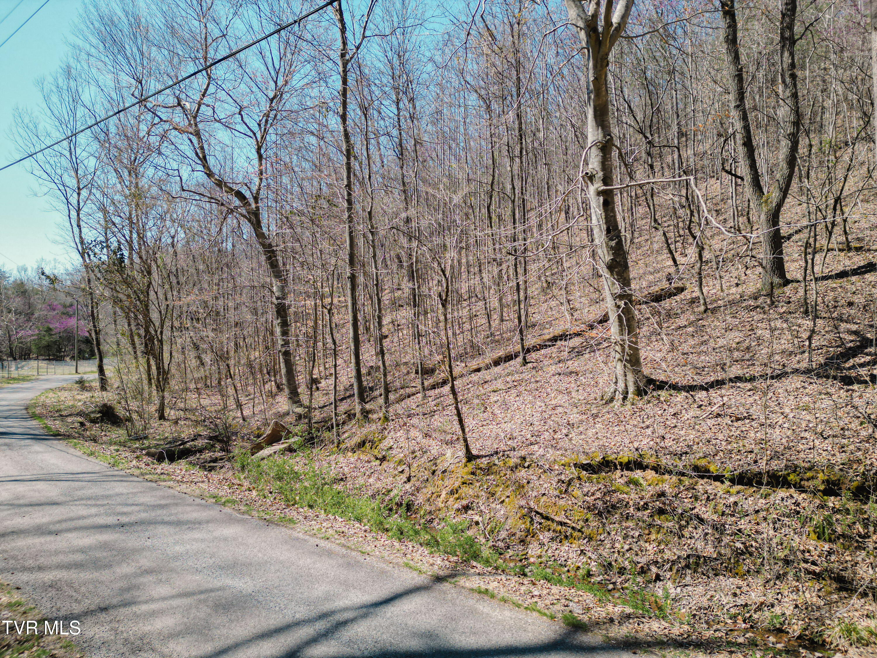 Tbd Stone Mountain Road Bulls Gap, TN 37711 - Photo 11 of 36 DanielleRickerPhotography-0317