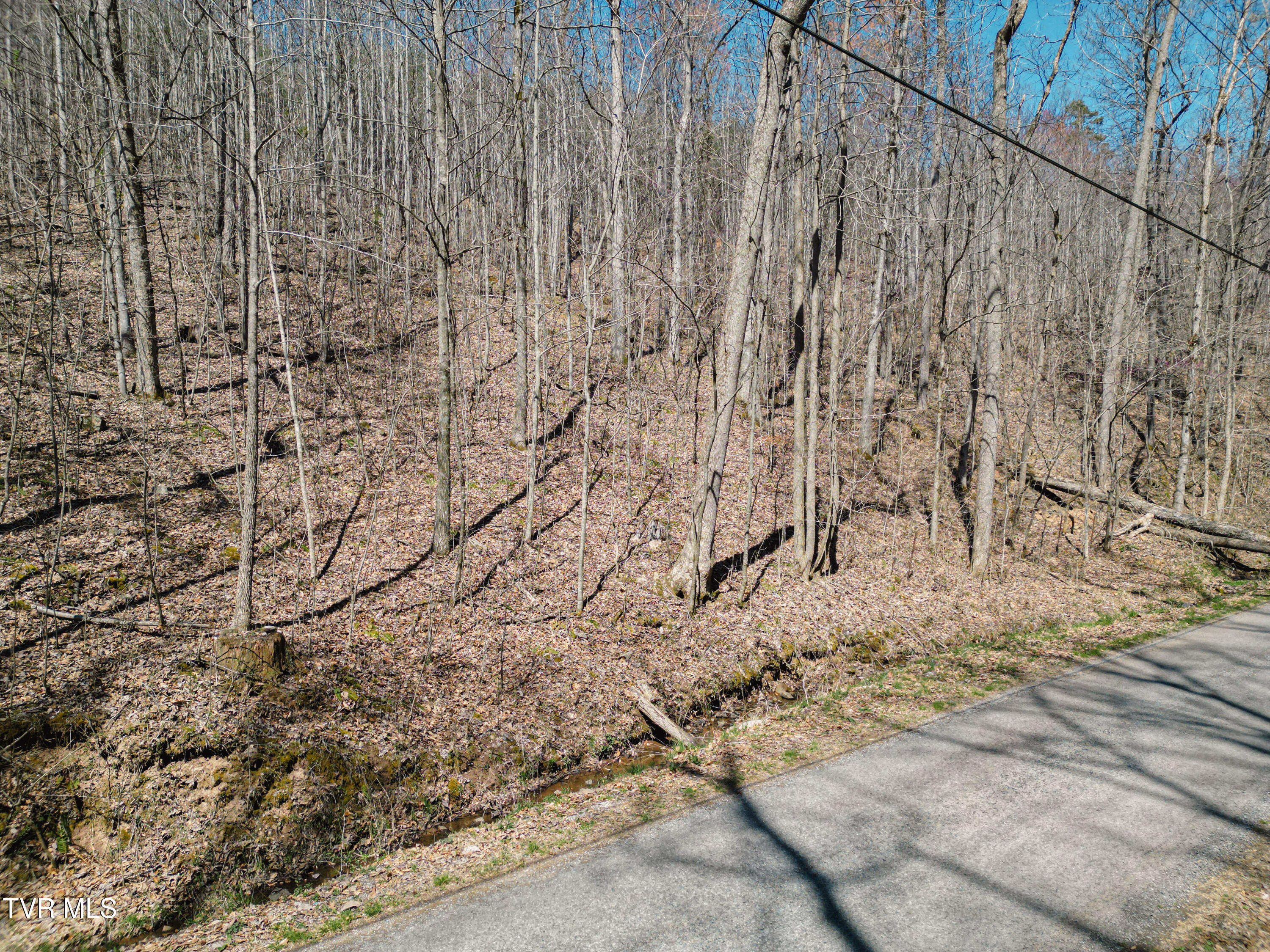 Tbd Stone Mountain Road Bulls Gap, TN 37711 - Photo 12 of 36 DanielleRickerPhotography-0318