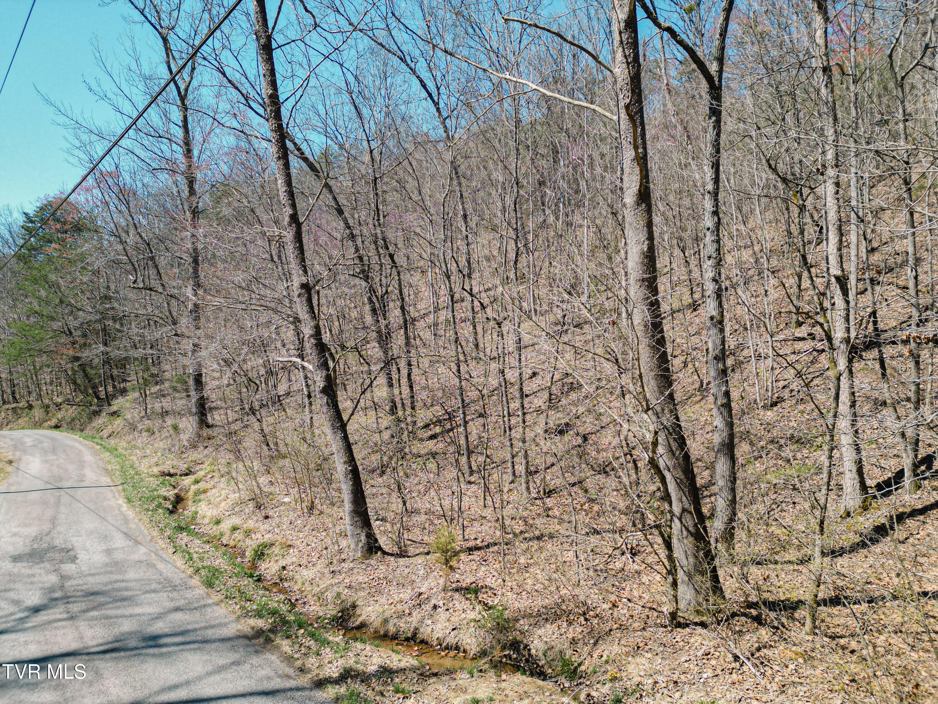 Tbd Stone Mountain Road Bulls Gap, TN 37711 - Photo 13 of 36 DanielleRickerPhotography-0321