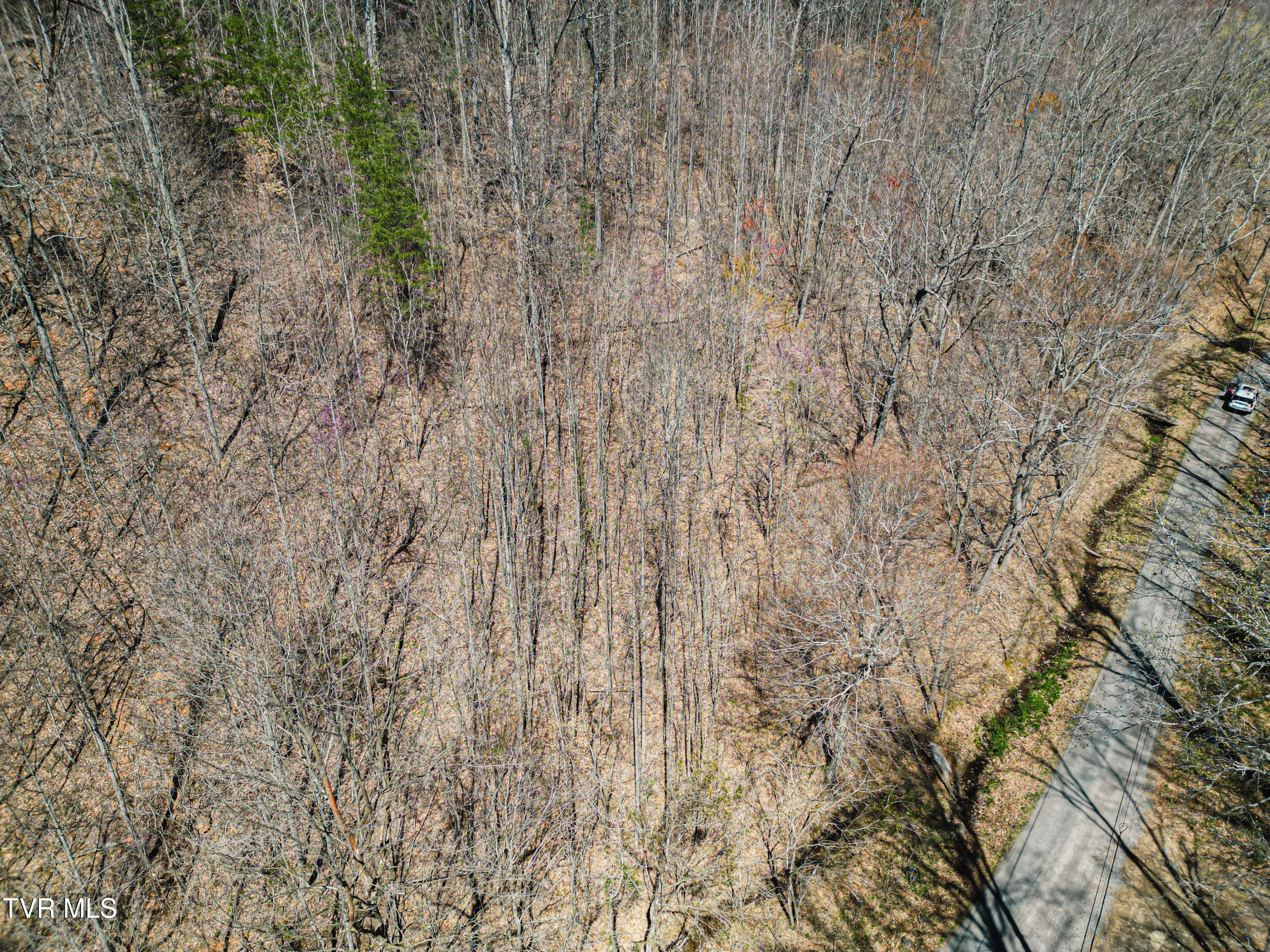 Tbd Stone Mountain Road Bulls Gap, TN 37711 - Photo 14 of 36 DanielleRickerPhotography-0322