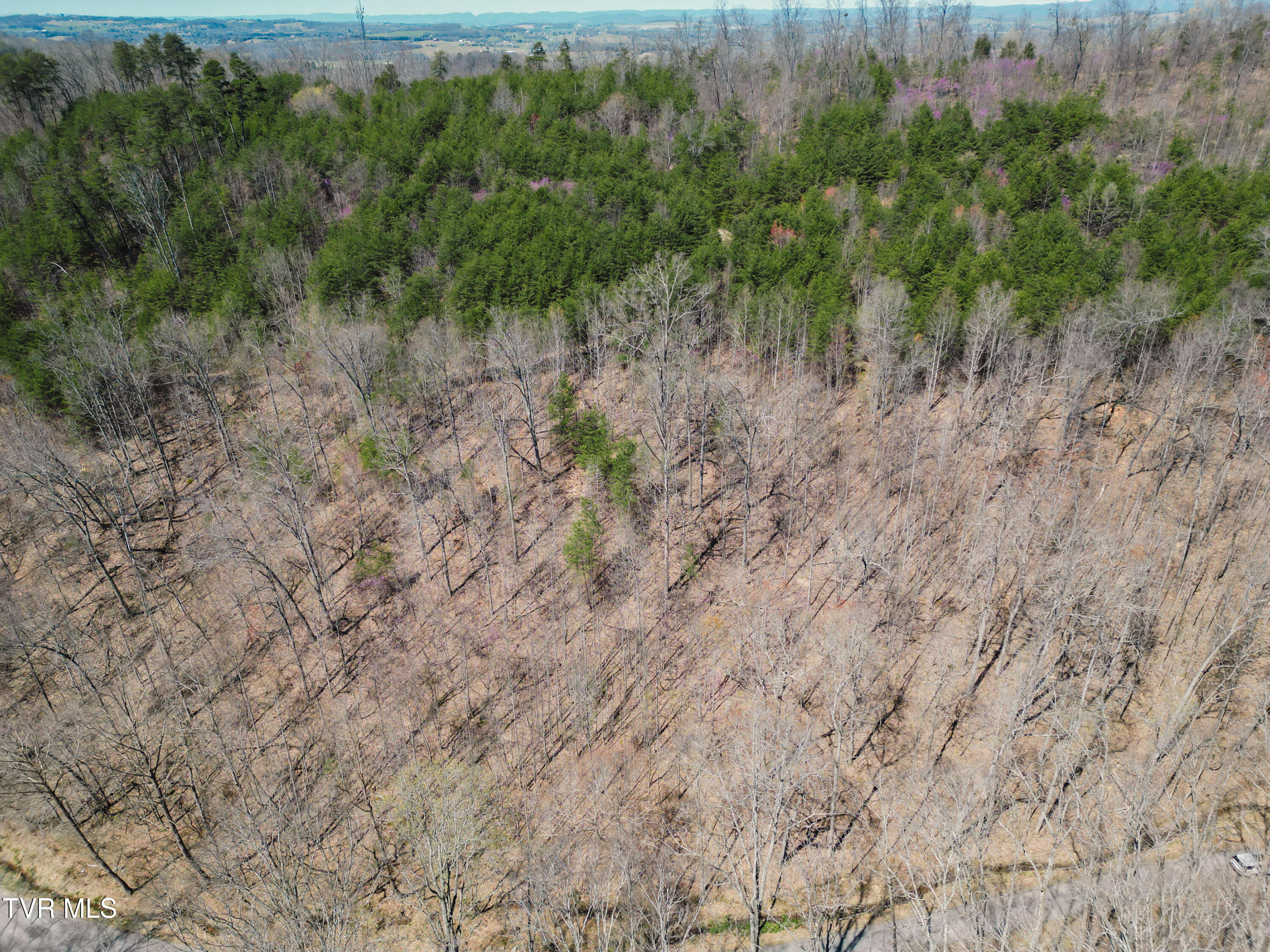 Tbd Stone Mountain Road Bulls Gap, TN 37711 - Photo 15 of 36 DanielleRickerPhotography-0323