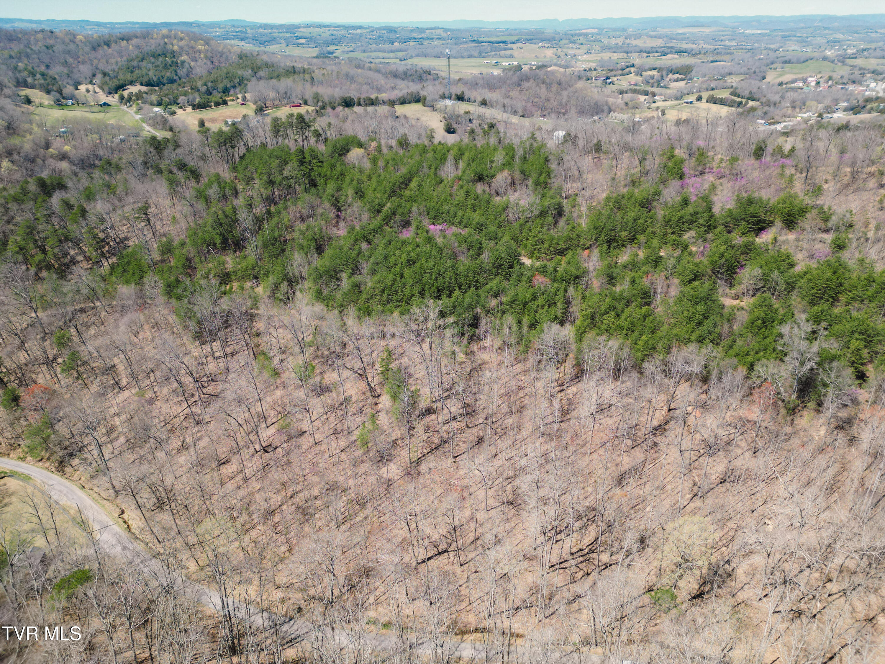 Tbd Stone Mountain Road Bulls Gap, TN 37711 - Photo 16 of 36 DanielleRickerPhotography-0325