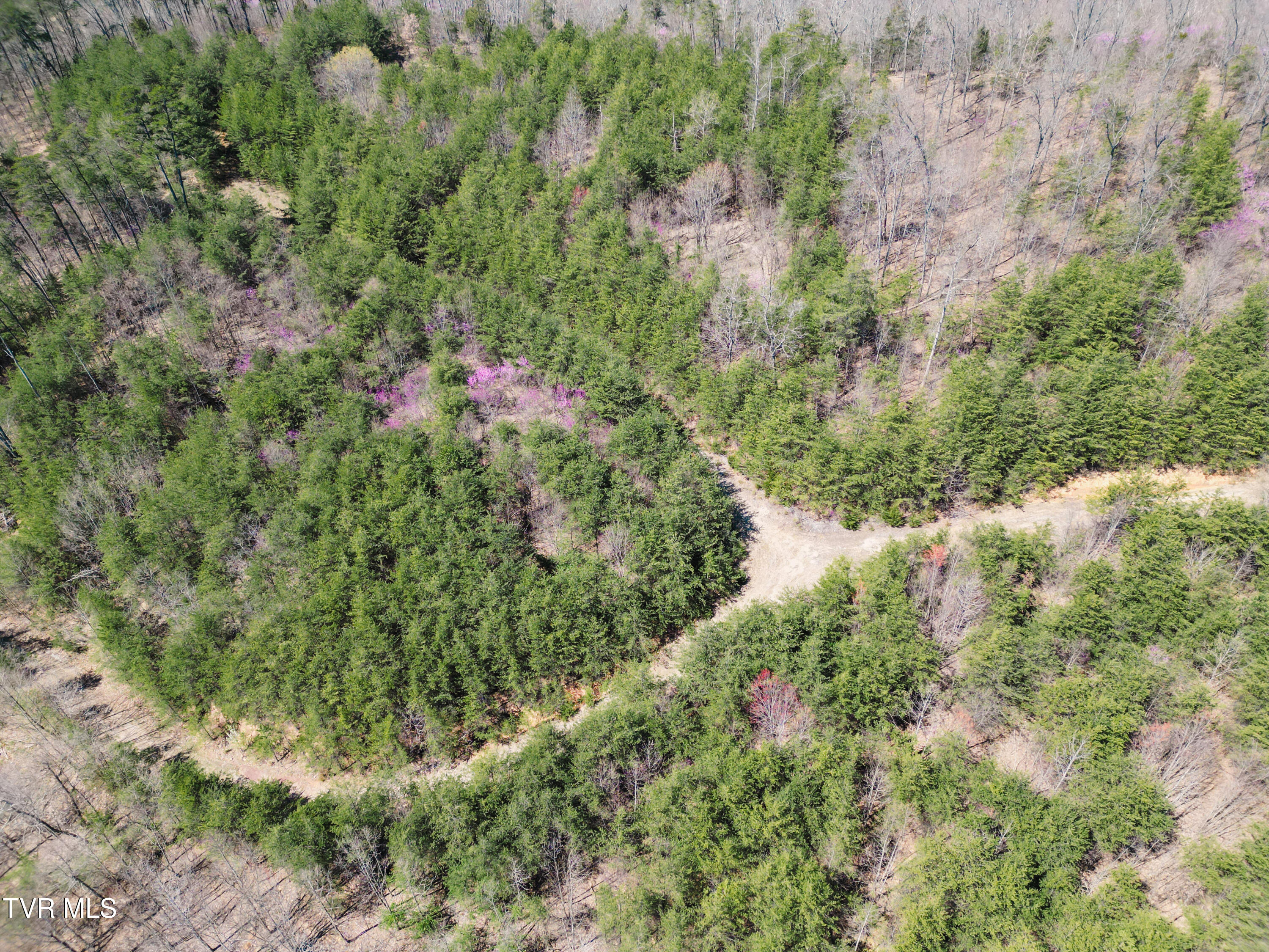 Tbd Stone Mountain Road Bulls Gap, TN 37711 - Photo 17 of 36 DanielleRickerPhotography-0326