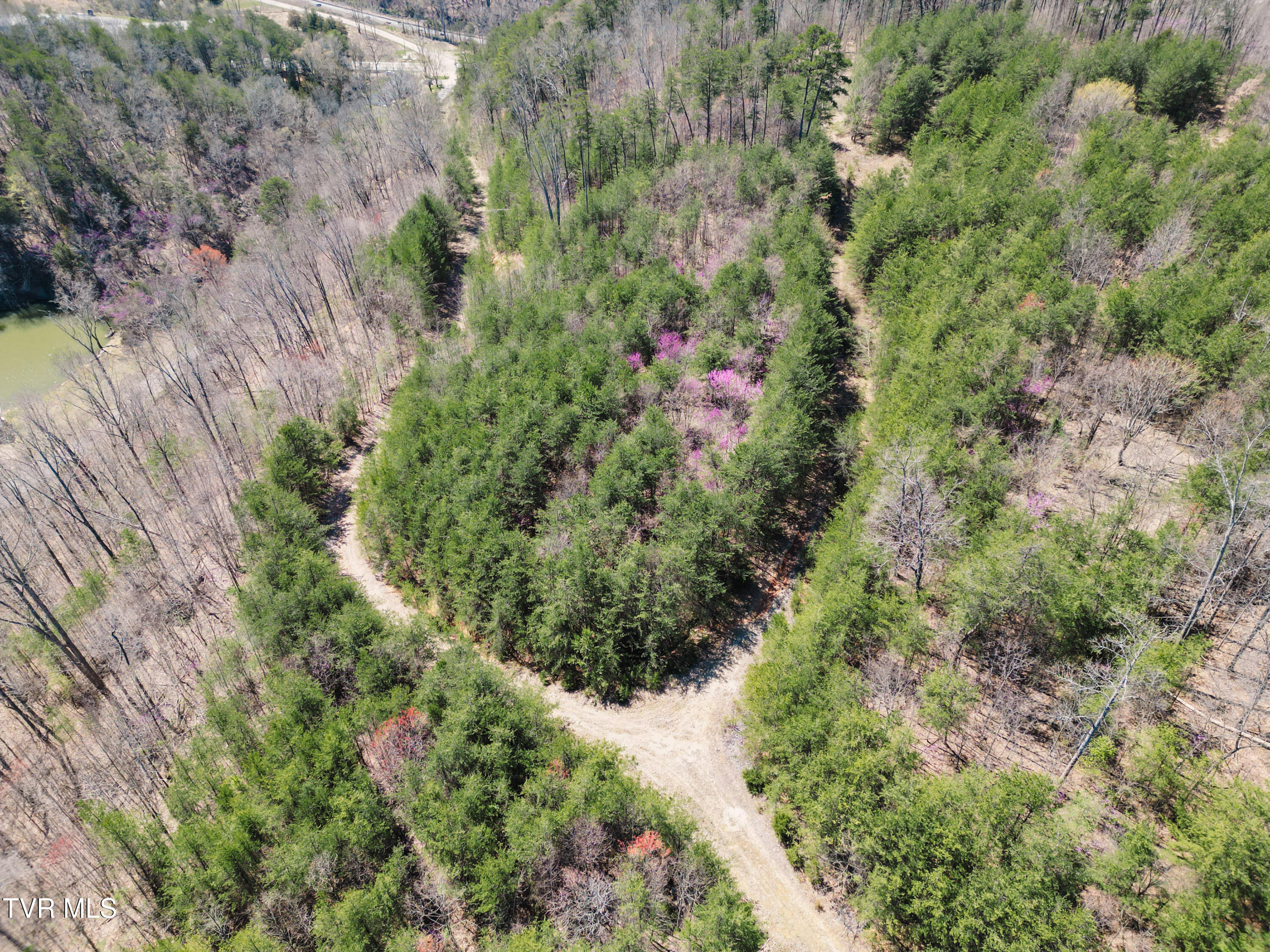 Tbd Stone Mountain Road Bulls Gap, TN 37711 - Photo 18 of 36 DanielleRickerPhotography-0327