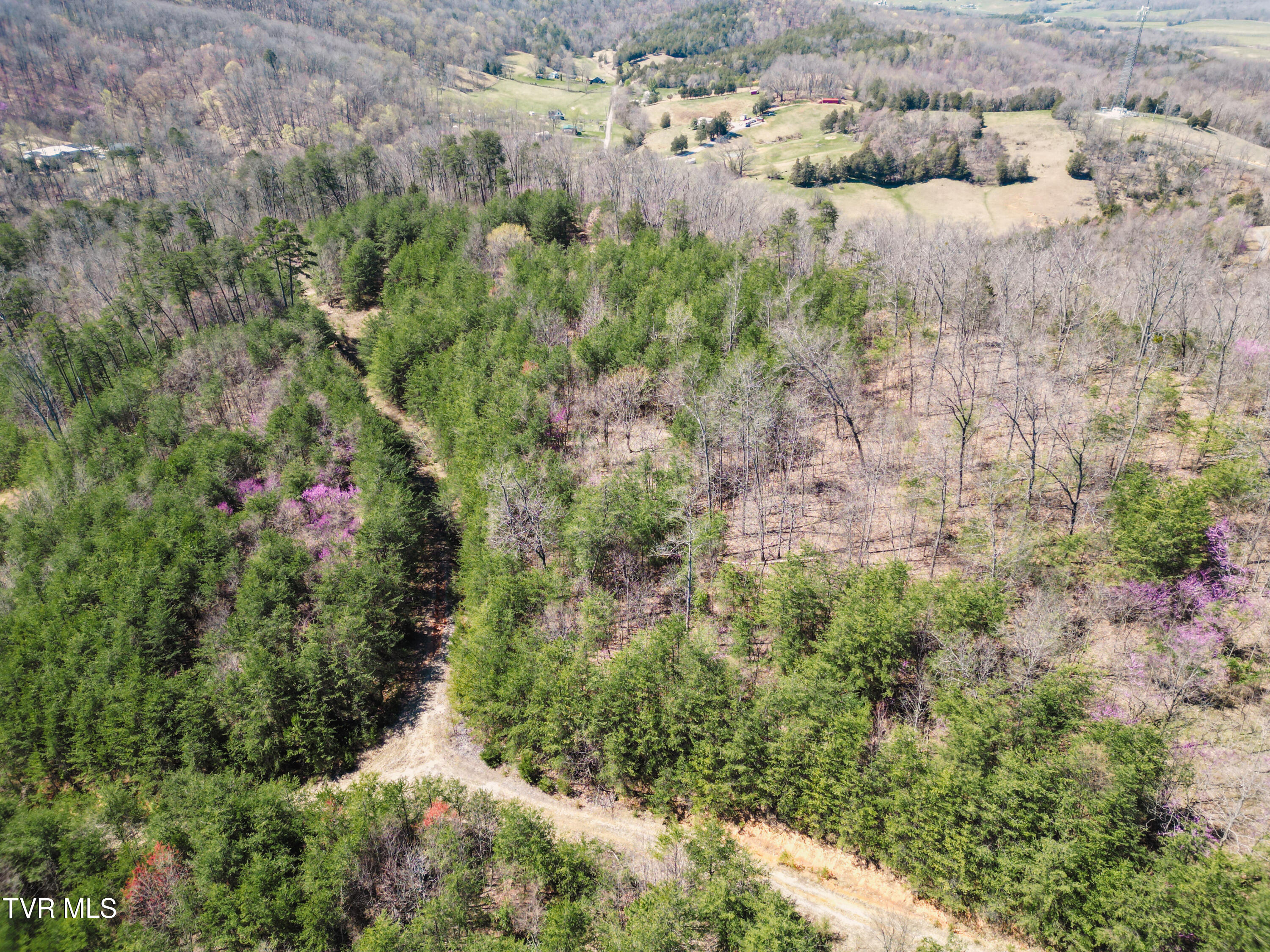 Tbd Stone Mountain Road Bulls Gap, TN 37711 - Photo 19 of 36 DanielleRickerPhotography-0328