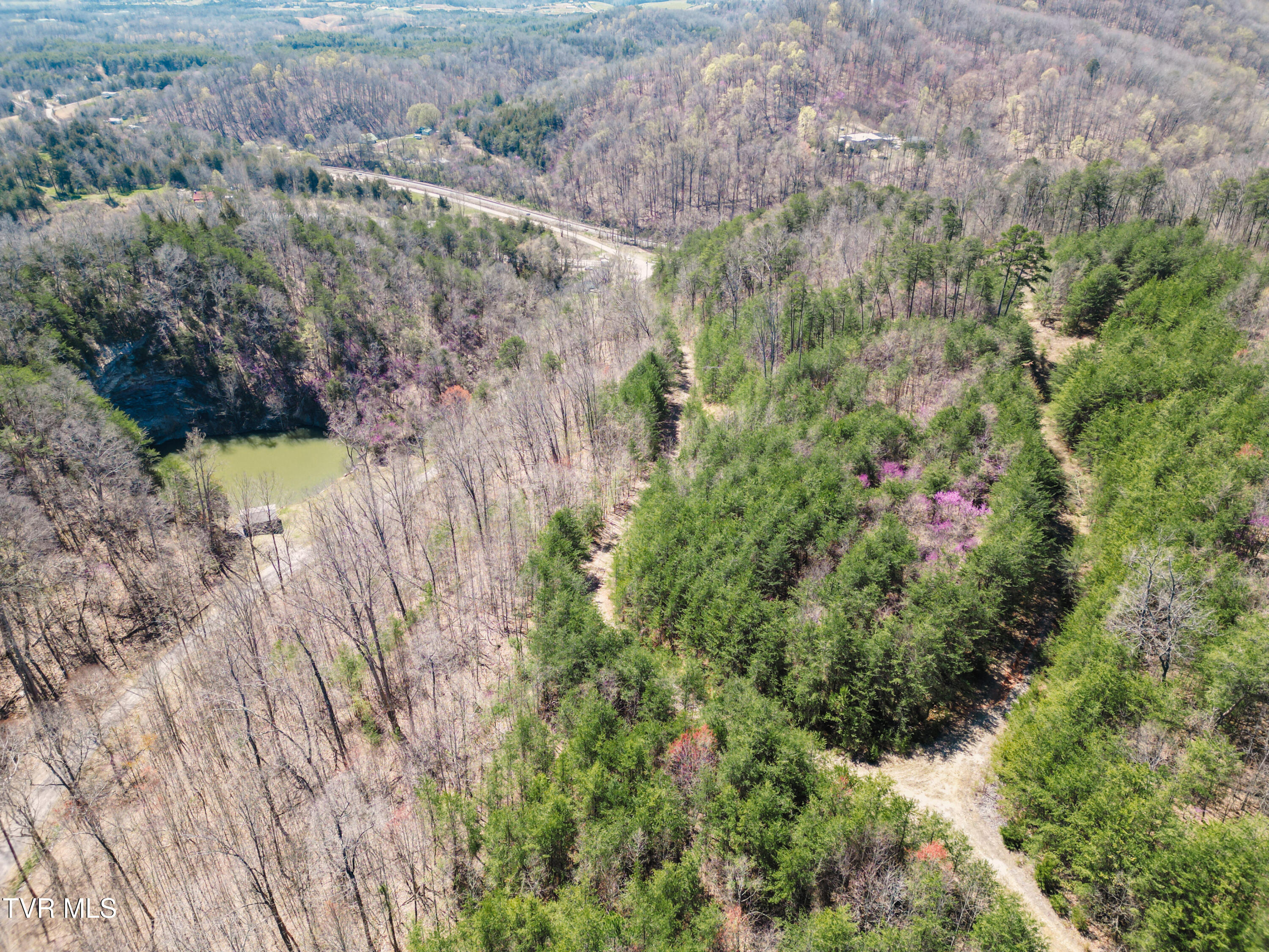 Tbd Stone Mountain Road Bulls Gap, TN 37711 - Photo 20 of 36 DanielleRickerPhotography-0329