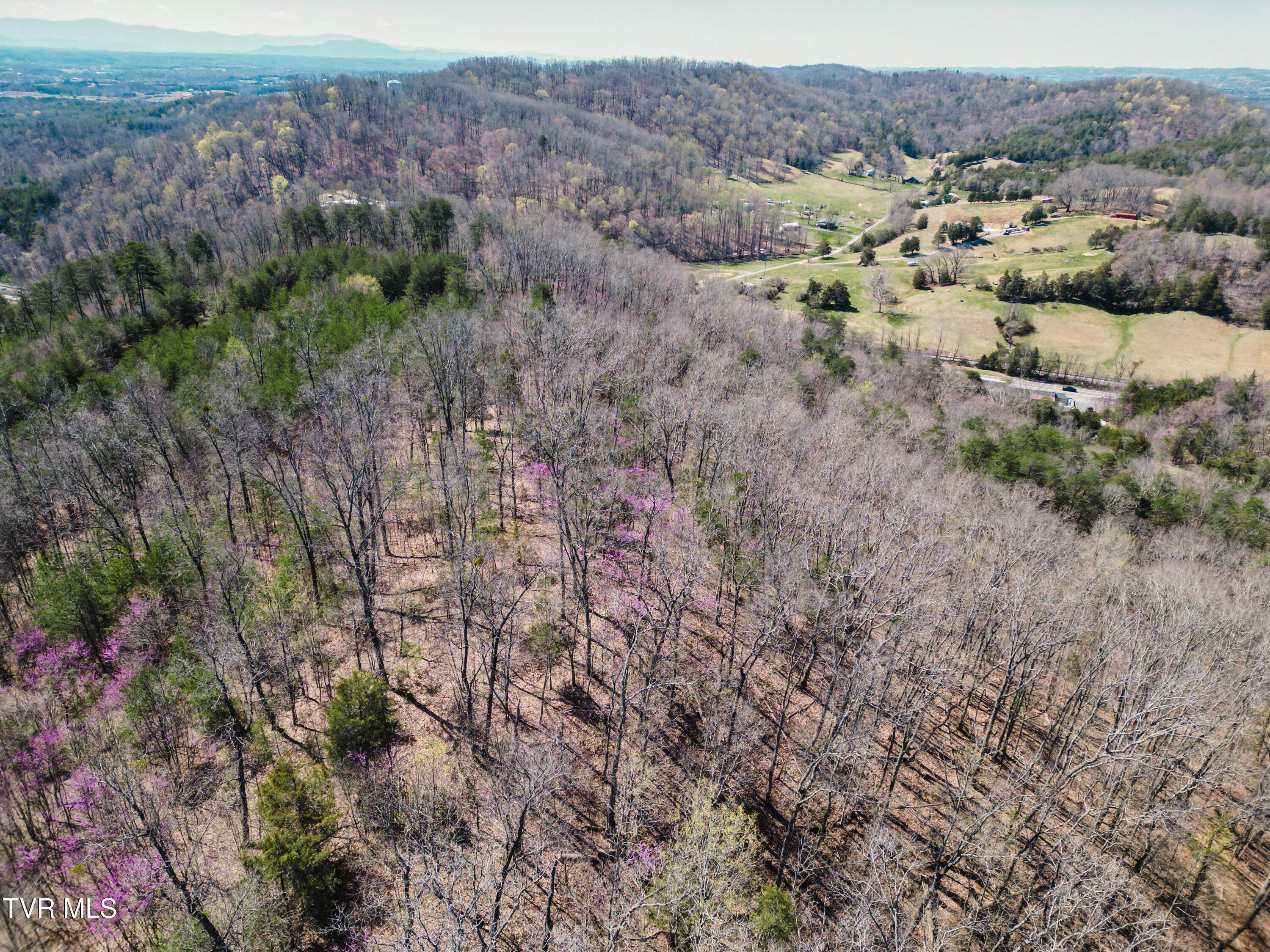 Tbd Stone Mountain Road Bulls Gap, TN 37711 - Photo 21 of 36 DanielleRickerPhotography-0332