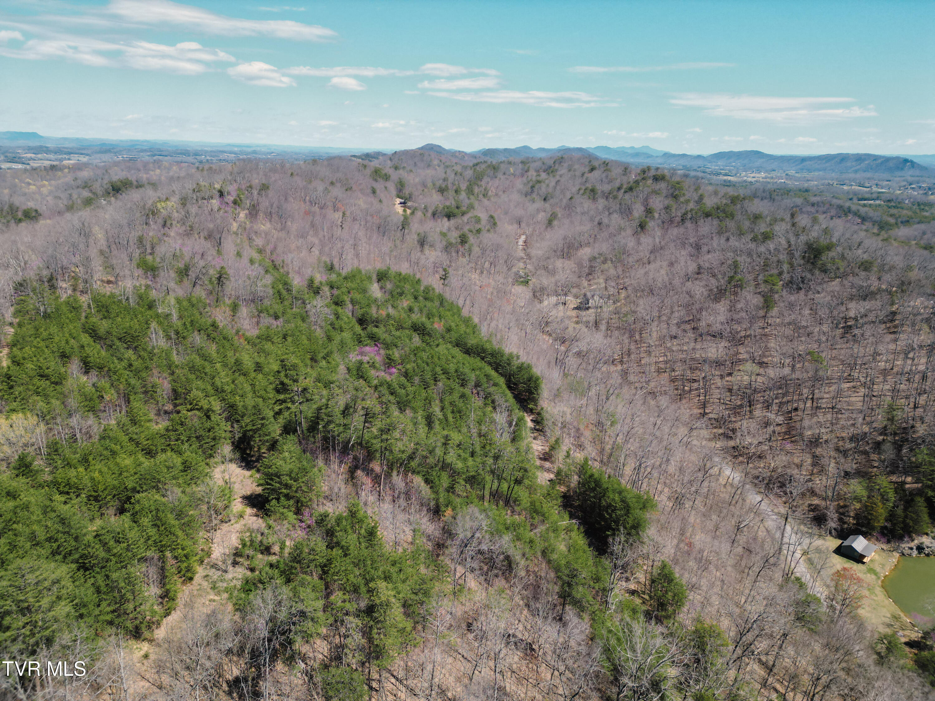 Tbd Stone Mountain Road Bulls Gap, TN 37711 - Photo 24 of 36 DanielleRickerPhotography-0336