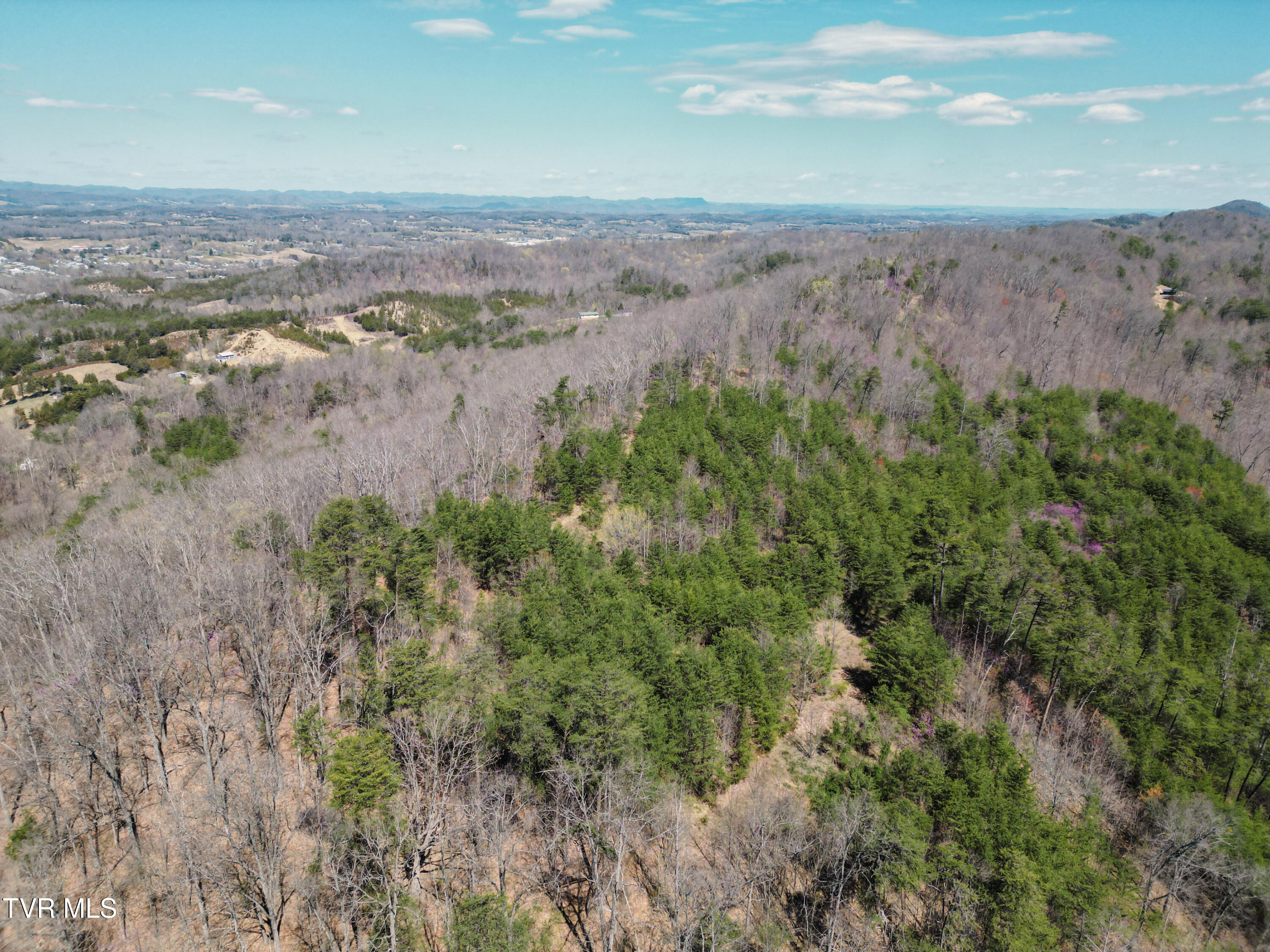 Tbd Stone Mountain Road Bulls Gap, TN 37711 - Photo 25 of 36 DanielleRickerPhotography-0337