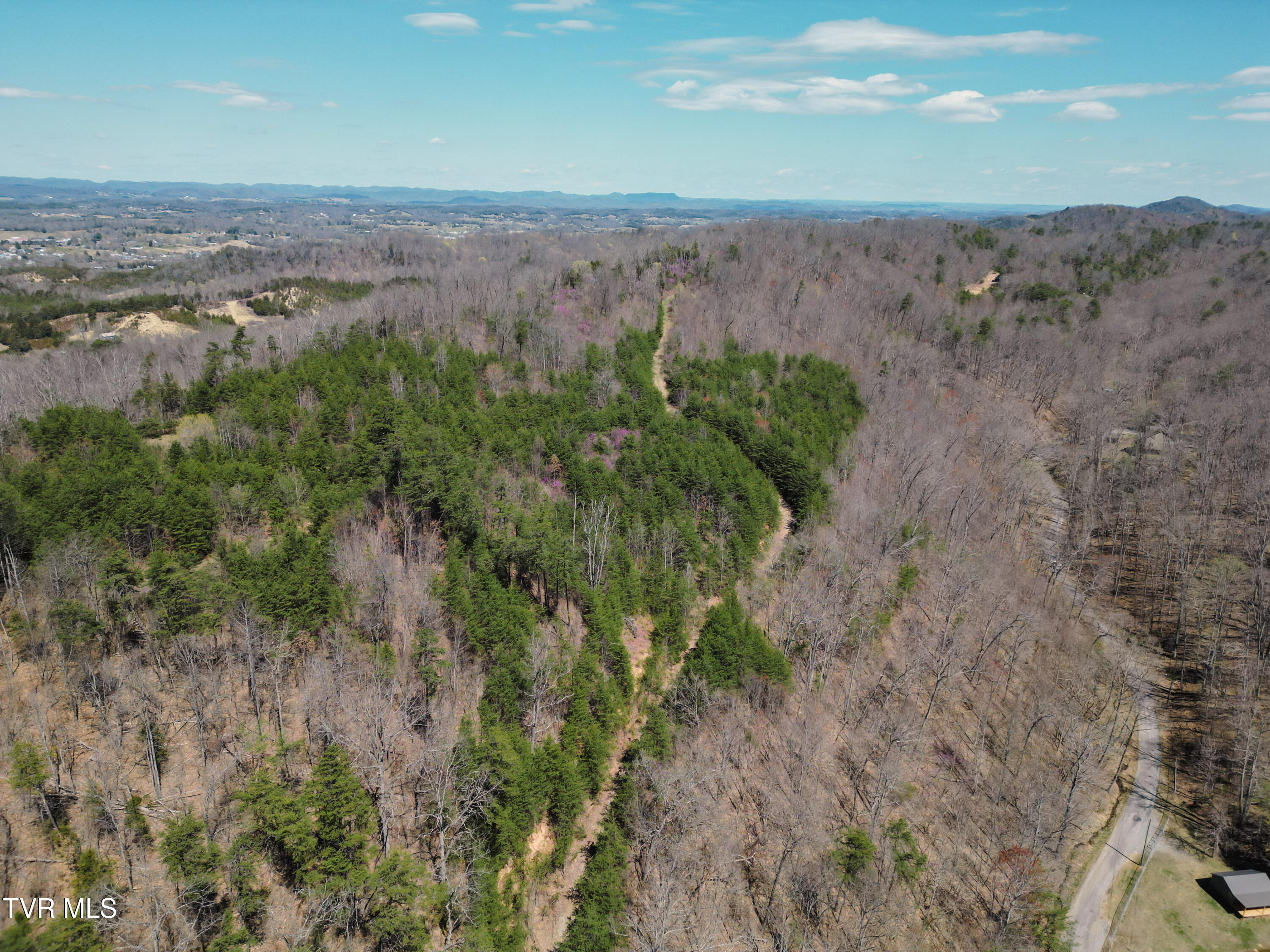 Tbd Stone Mountain Road Bulls Gap, TN 37711 - Photo 26 of 36 DanielleRickerPhotography-0338