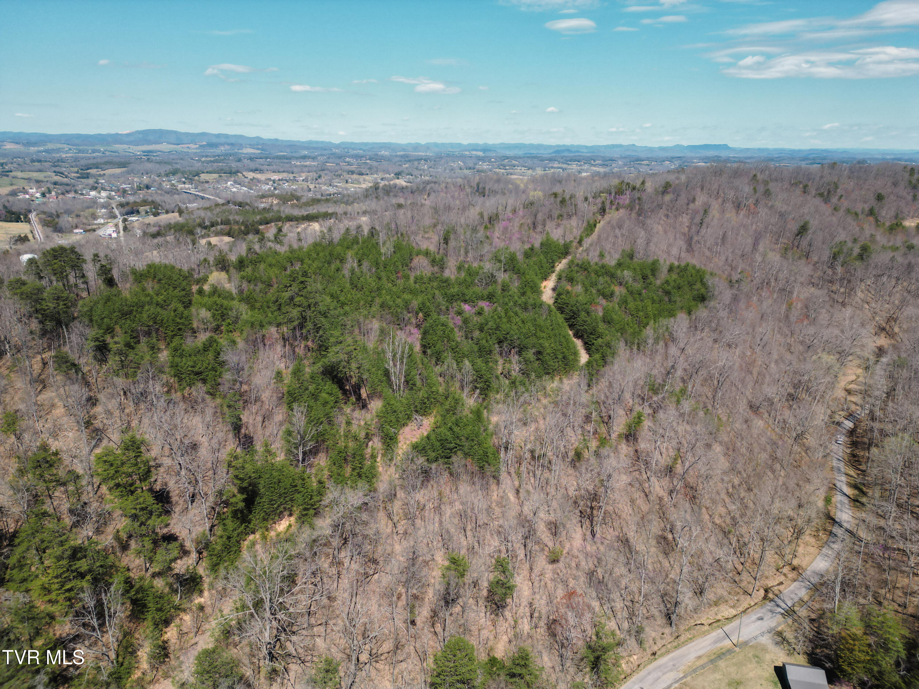 Tbd Stone Mountain Road Bulls Gap, TN 37711 - Photo 27 of 36 DanielleRickerPhotography-0339