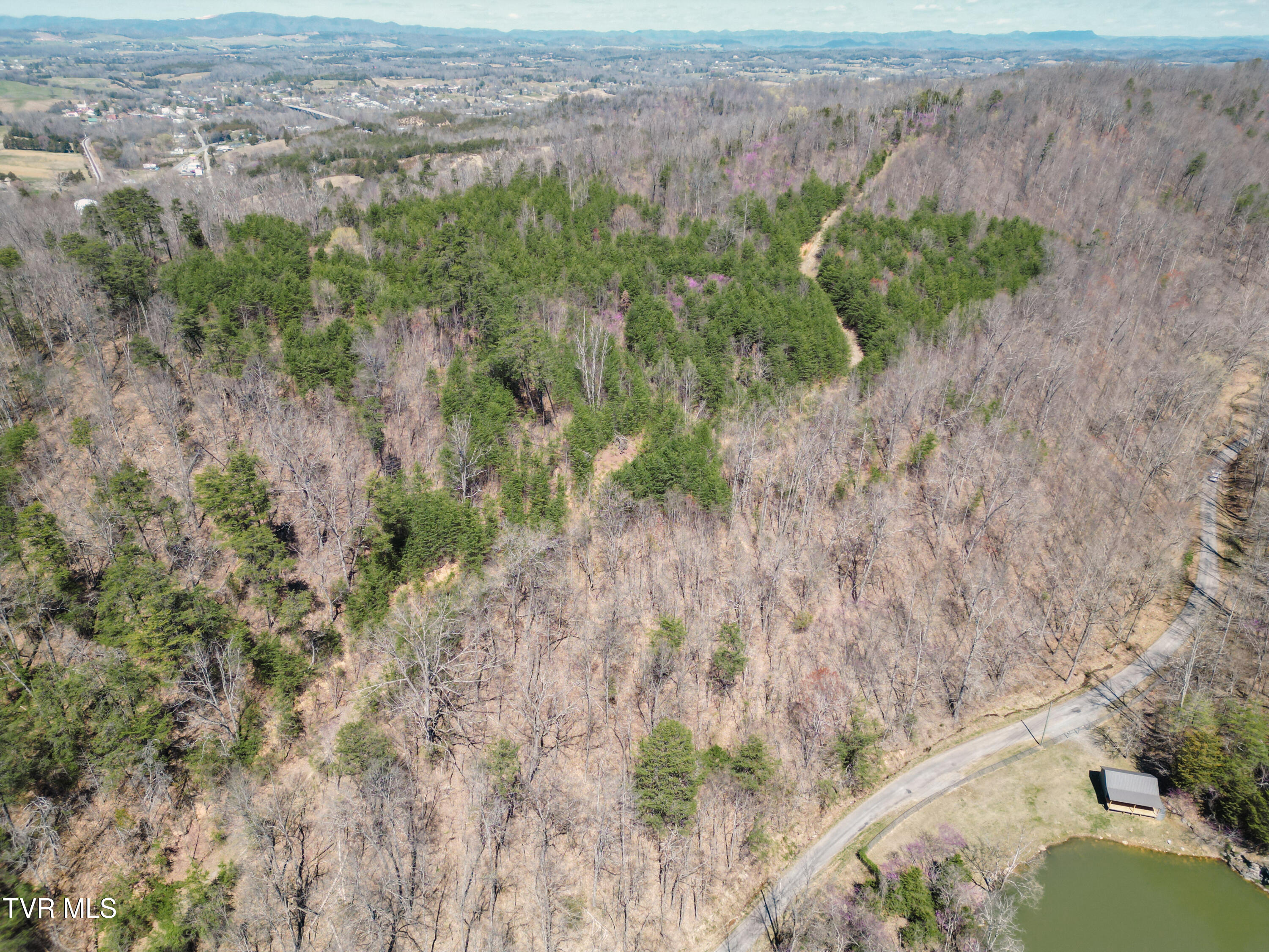Tbd Stone Mountain Road Bulls Gap, TN 37711 - Photo 28 of 36 DanielleRickerPhotography-0340
