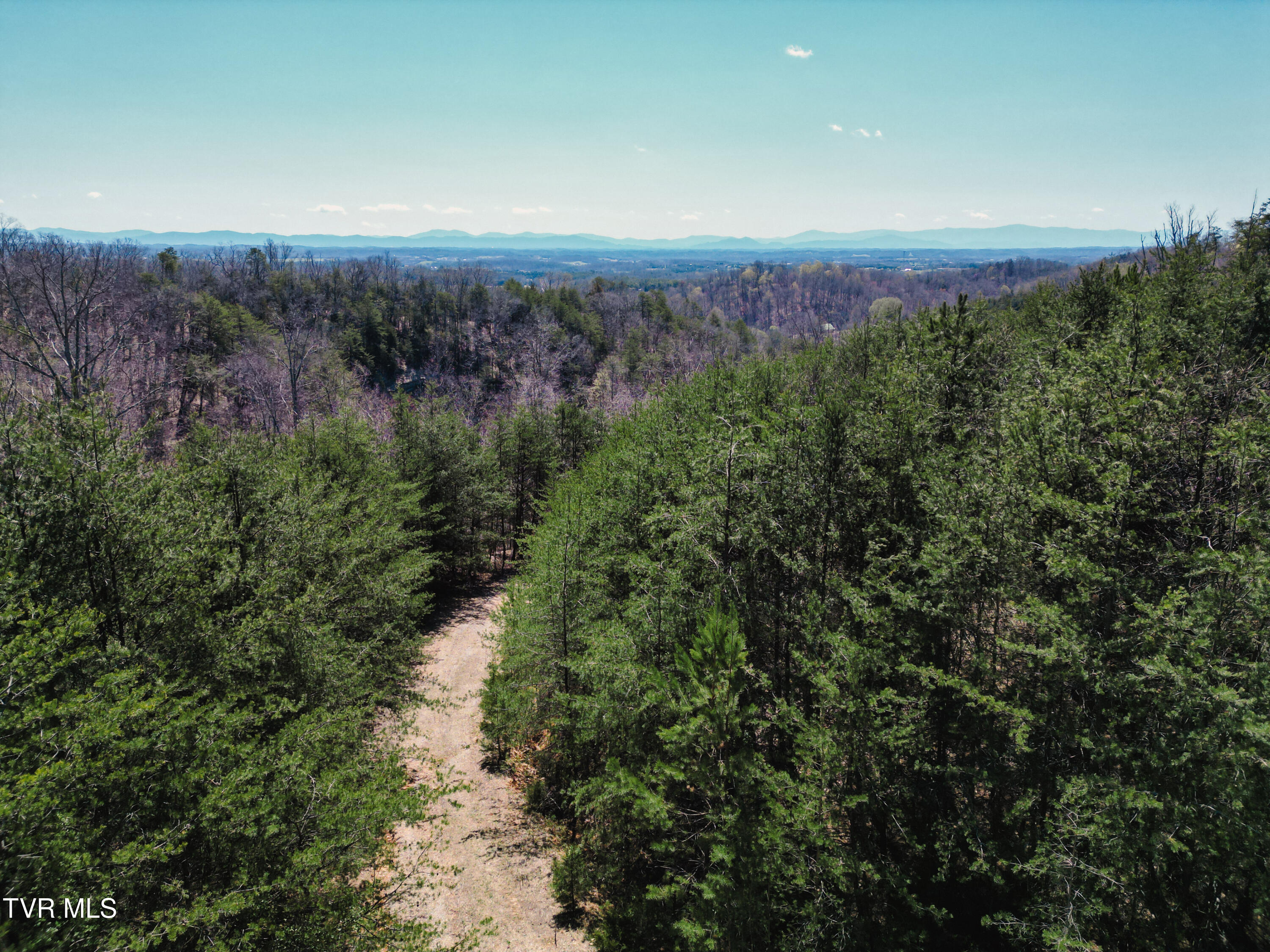 Tbd Stone Mountain Road Bulls Gap, TN 37711 - Photo 29 of 36 DanielleRickerPhotography-0344