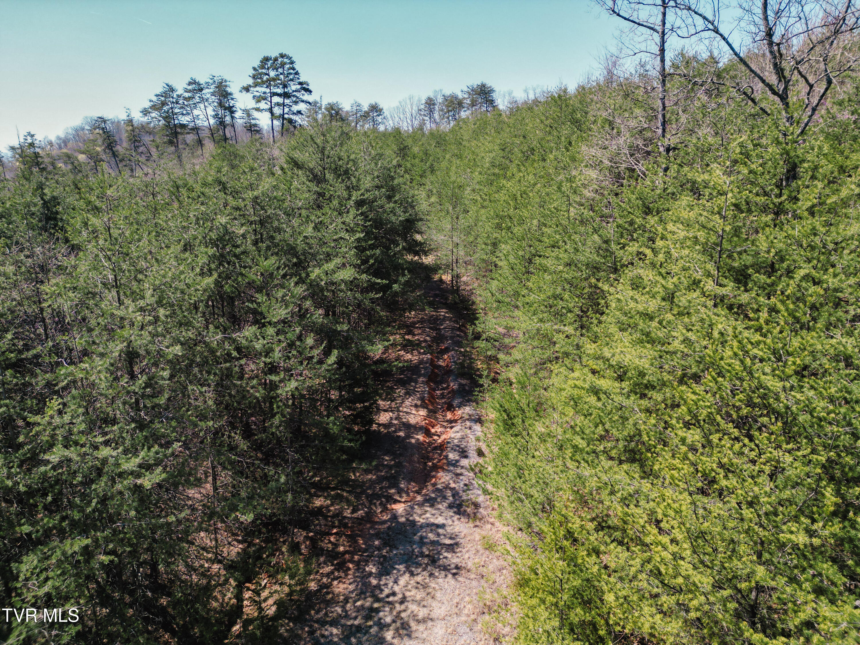 Tbd Stone Mountain Road Bulls Gap, TN 37711 - Photo 30 of 36 DanielleRickerPhotography-0345