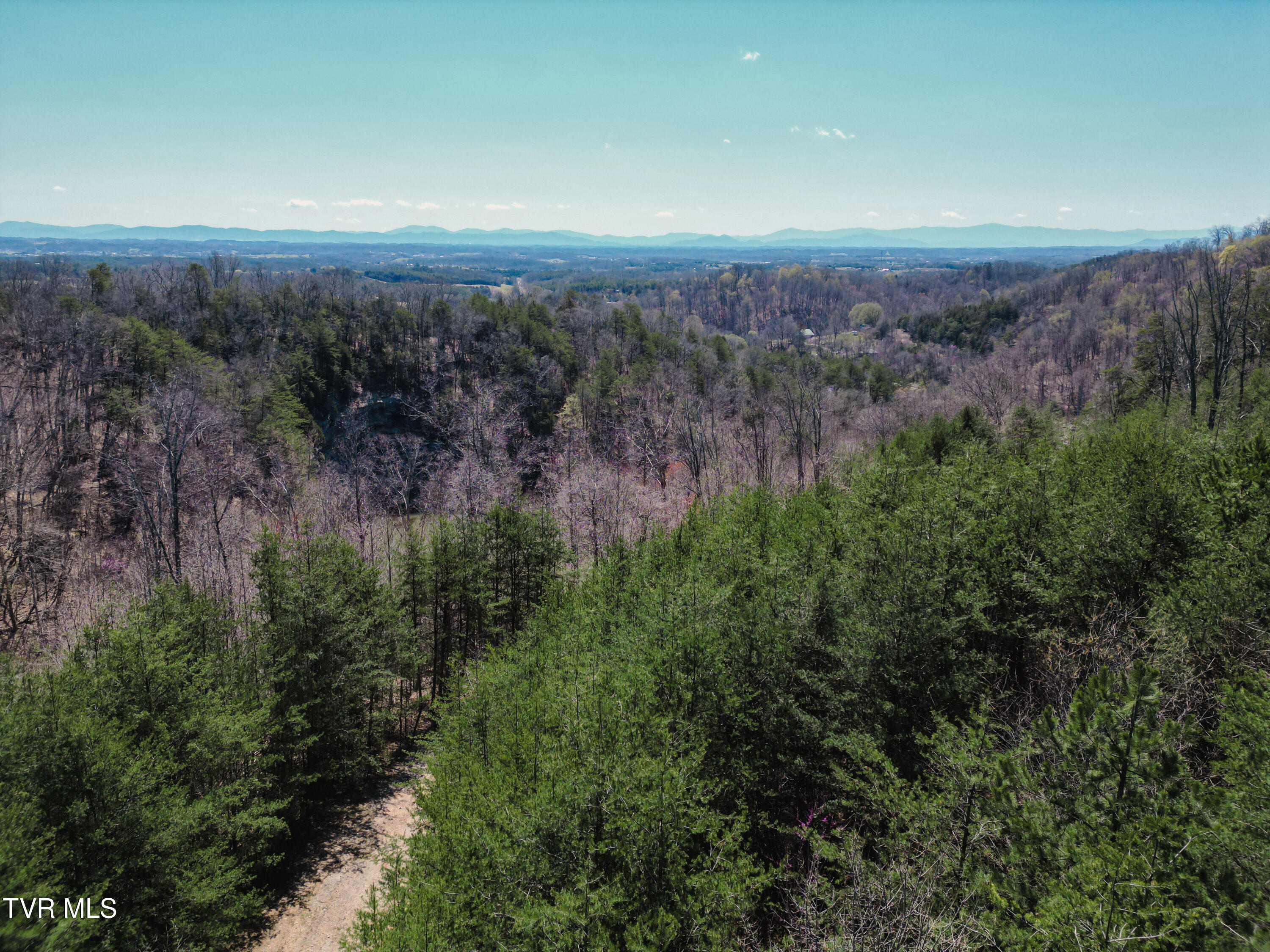 Tbd Stone Mountain Road Bulls Gap, TN 37711 - Photo 31 of 36 DanielleRickerPhotography-0346