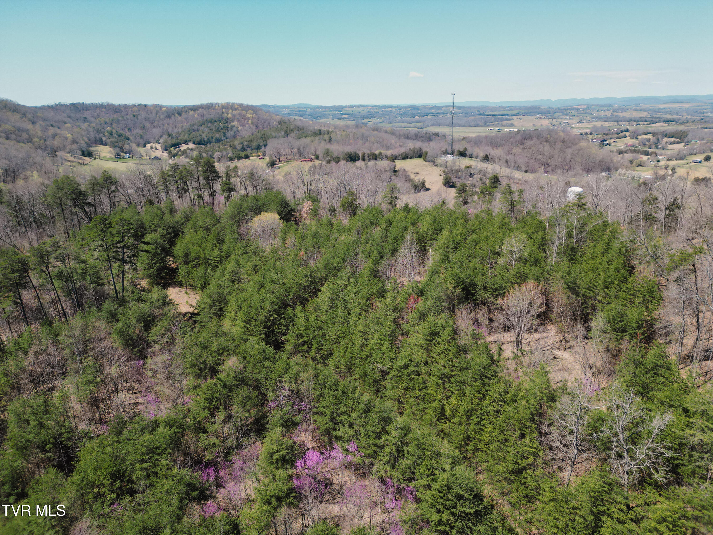 Tbd Stone Mountain Road Bulls Gap, TN 37711 - Photo 32 of 36 DanielleRickerPhotography-0347