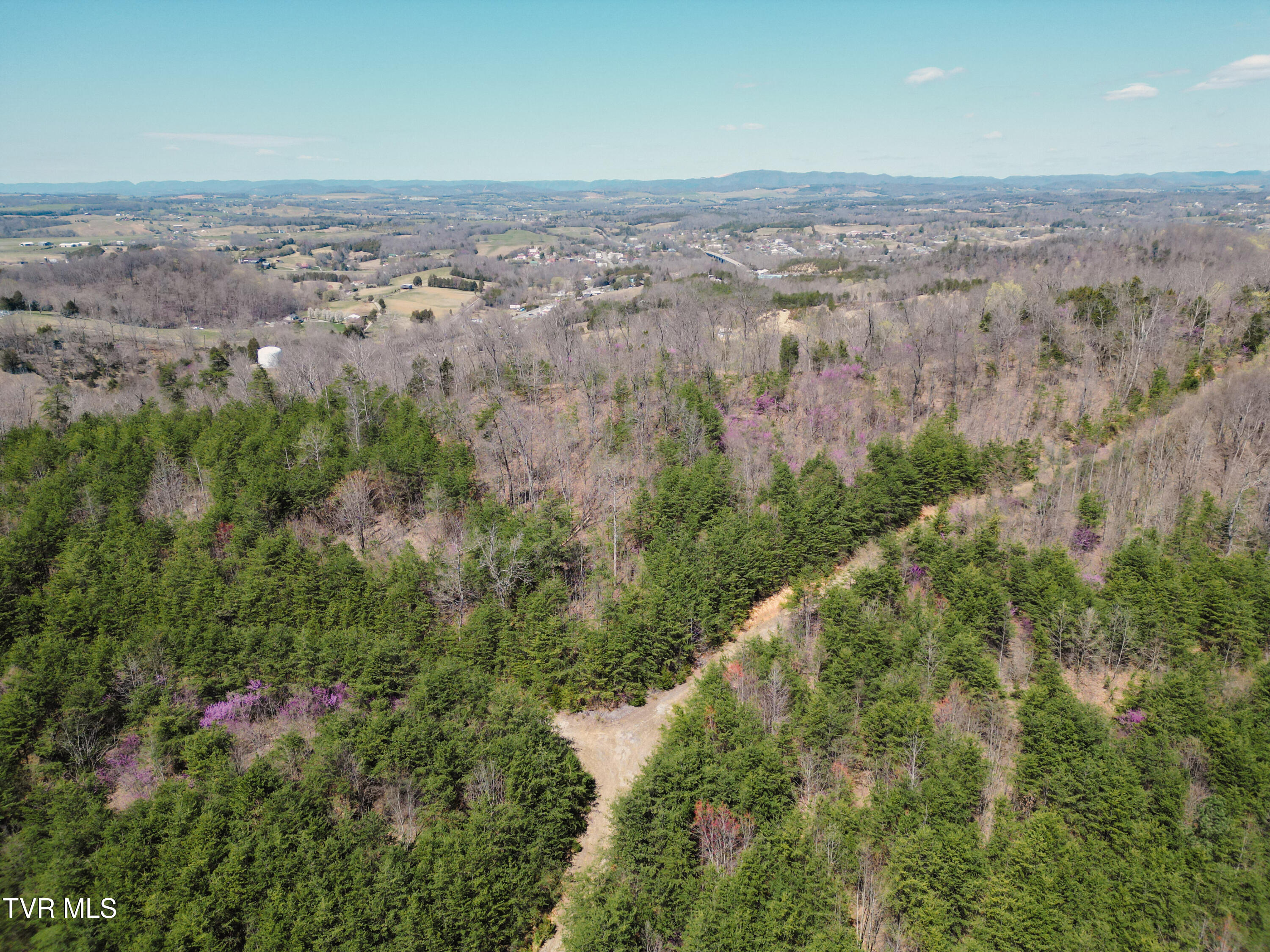 Tbd Stone Mountain Road Bulls Gap, TN 37711 - Photo 33 of 36 DanielleRickerPhotography-0348