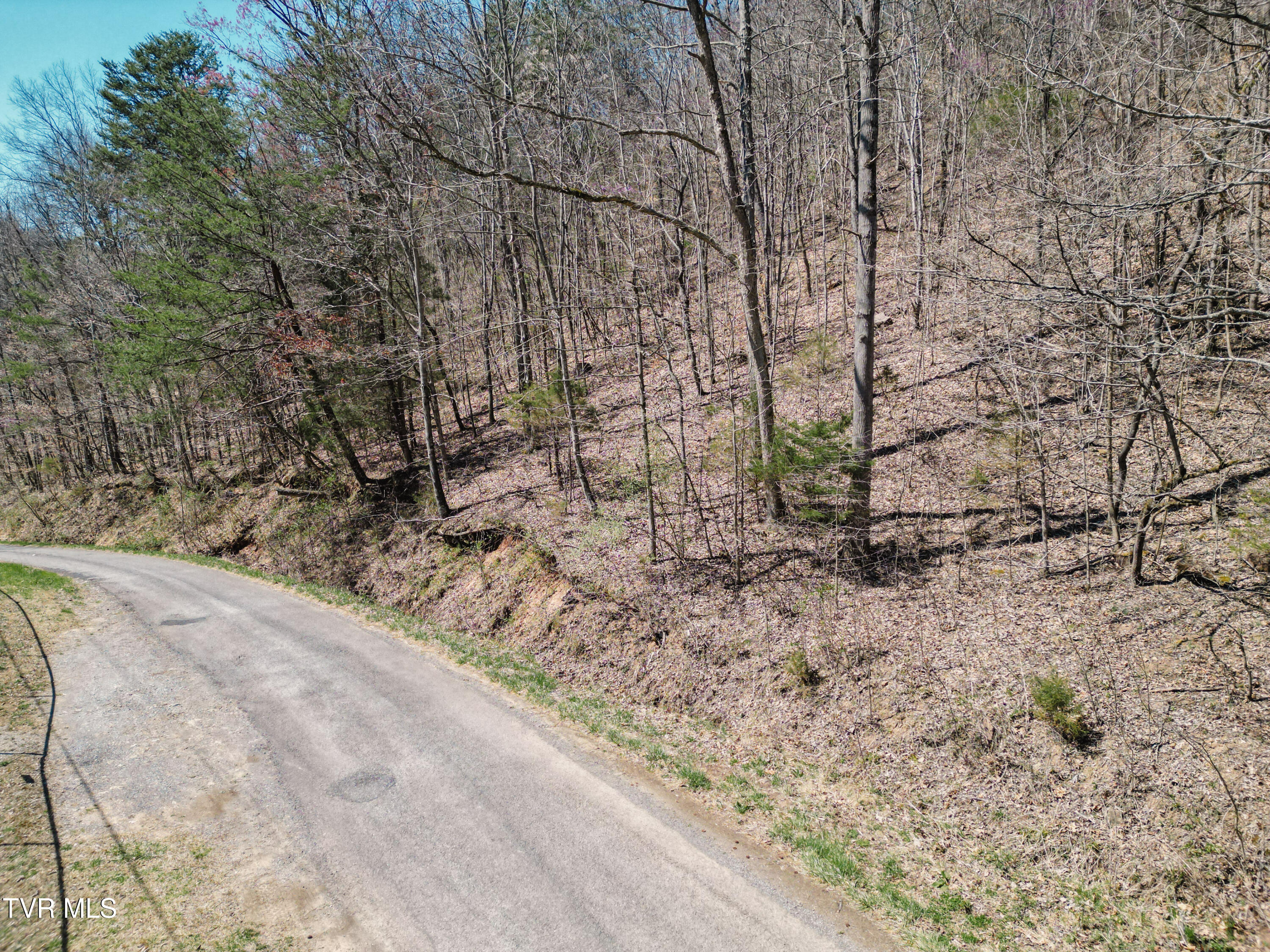 Tbd Stone Mountain Road Bulls Gap, TN 37711 - Photo 34 of 36 DanielleRickerPhotography-0349