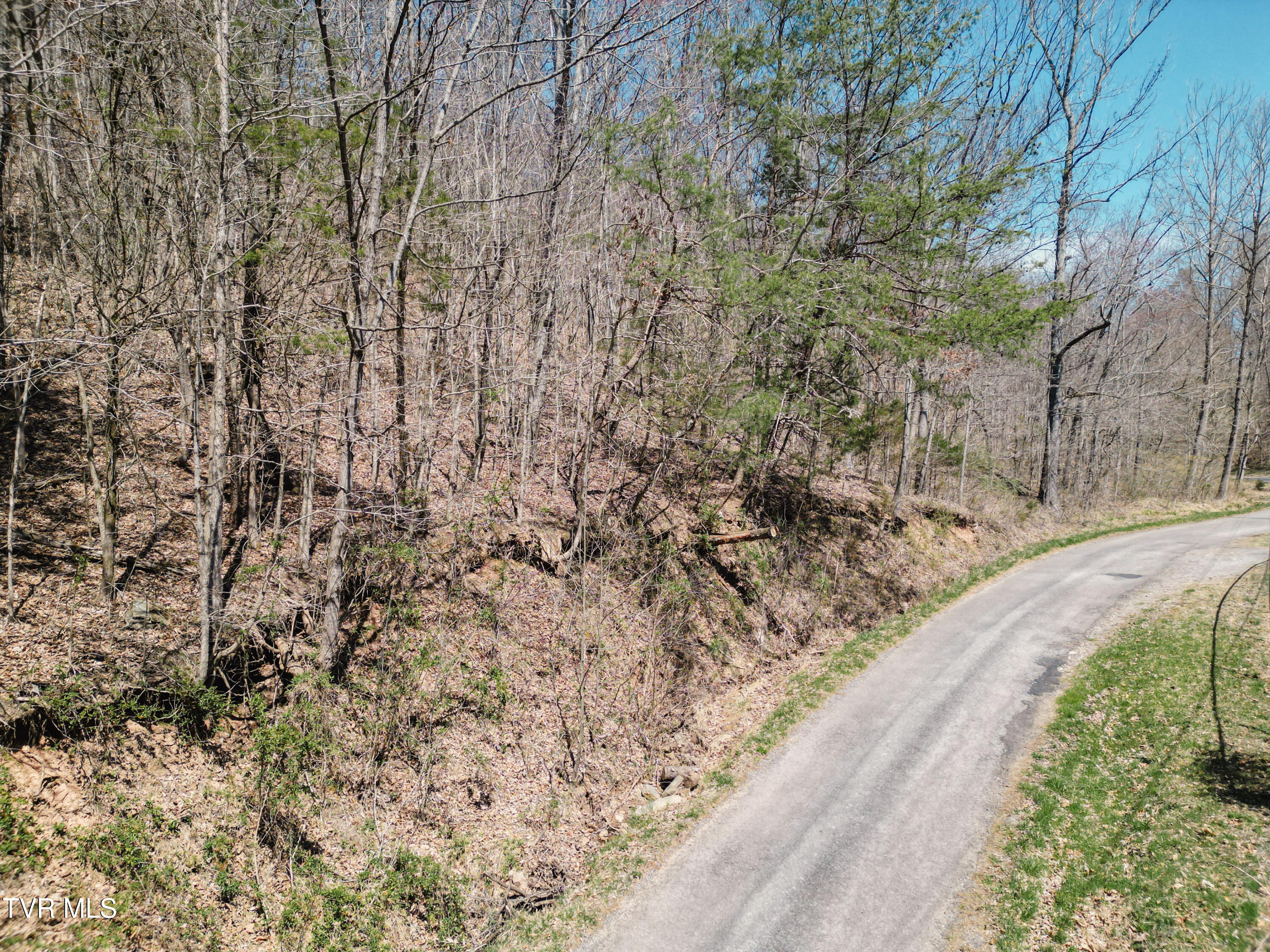 Tbd Stone Mountain Road Bulls Gap, TN 37711 - Photo 35 of 36 DanielleRickerPhotography-0350