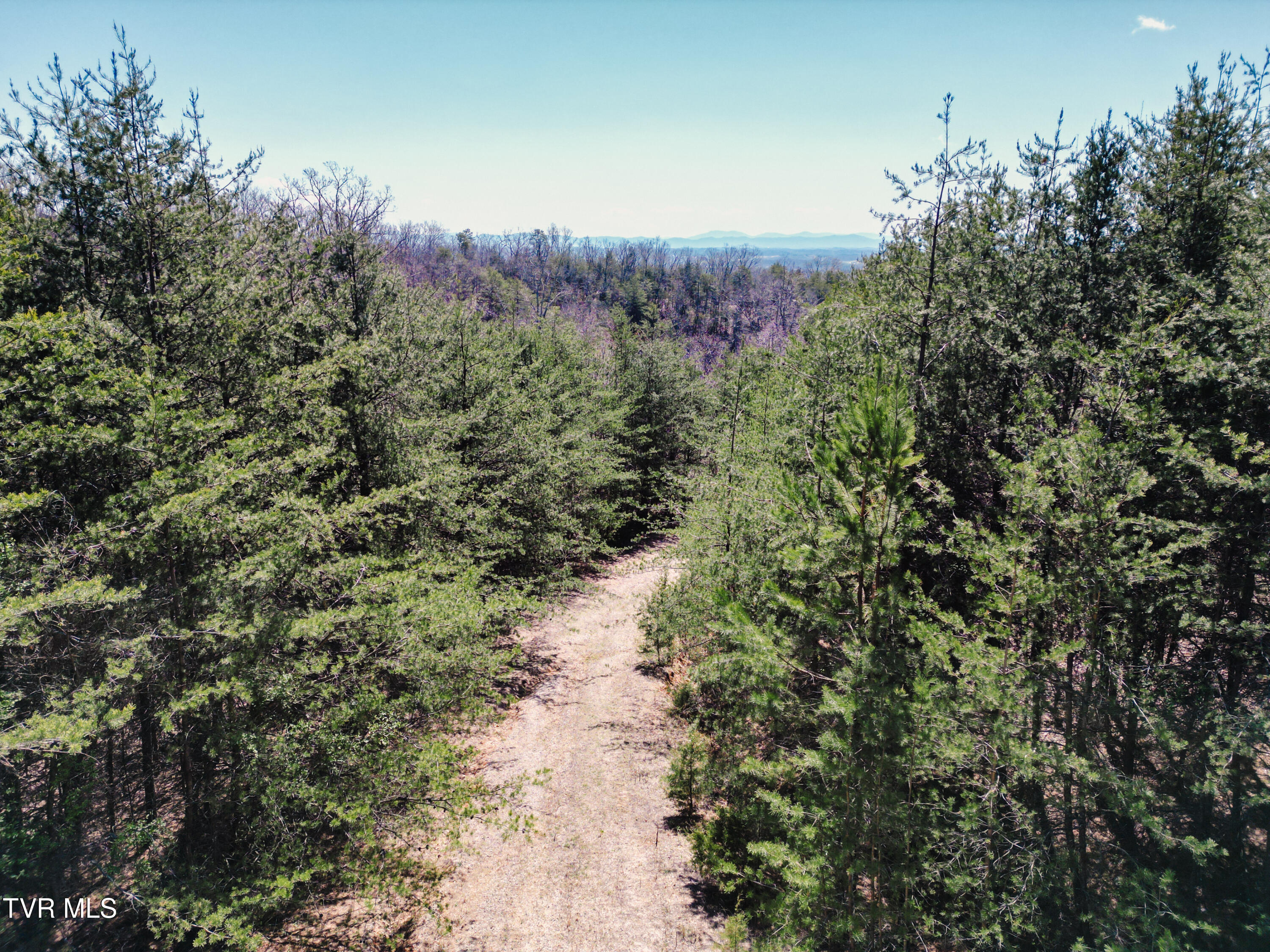 Tbd Stone Mountain Road Bulls Gap, TN 37711 - Photo 4 of 36 DanielleRickerPhotography-0343