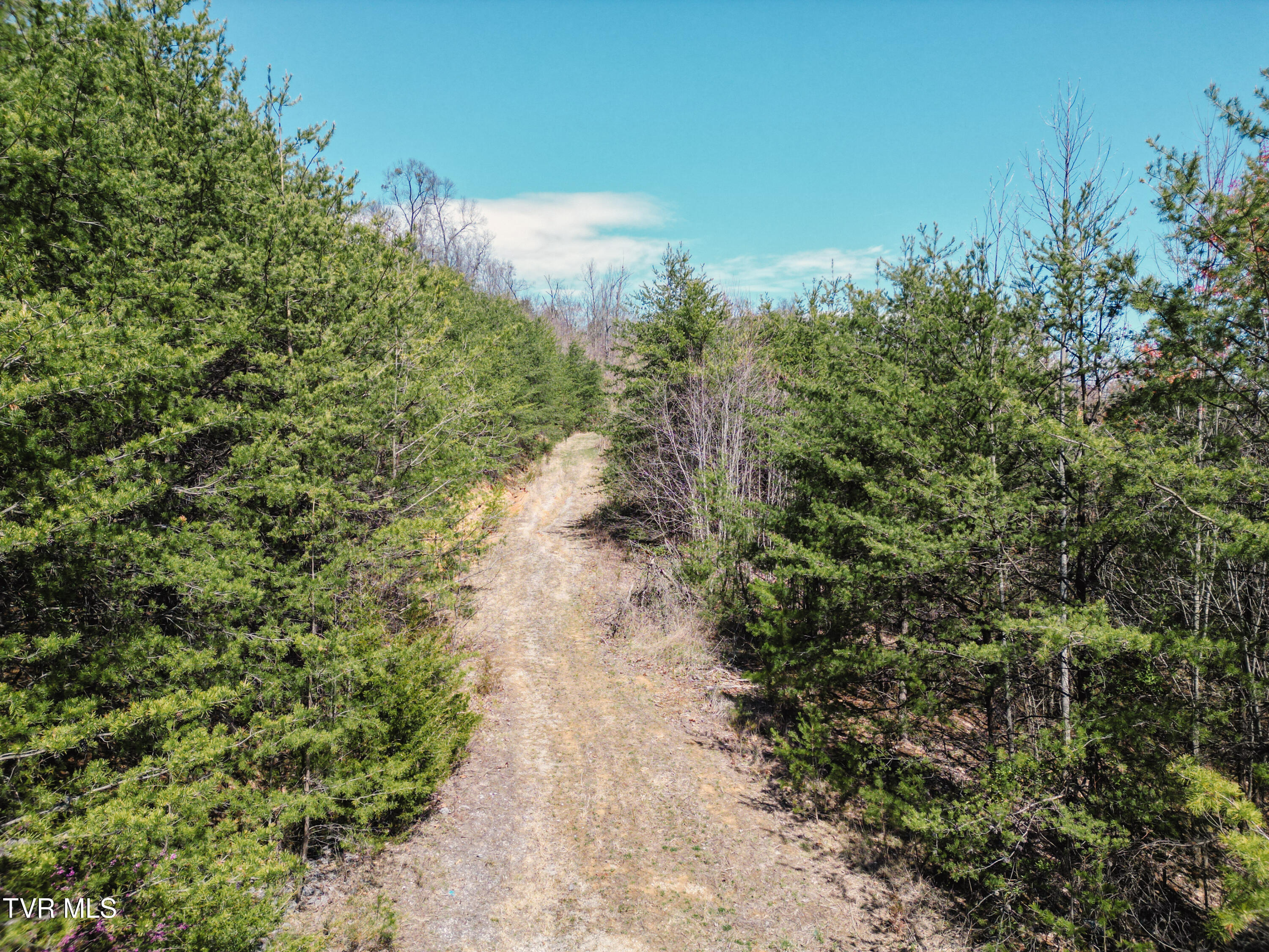 Tbd Stone Mountain Road Bulls Gap, TN 37711 - Photo 5 of 36 DanielleRickerPhotography-0342