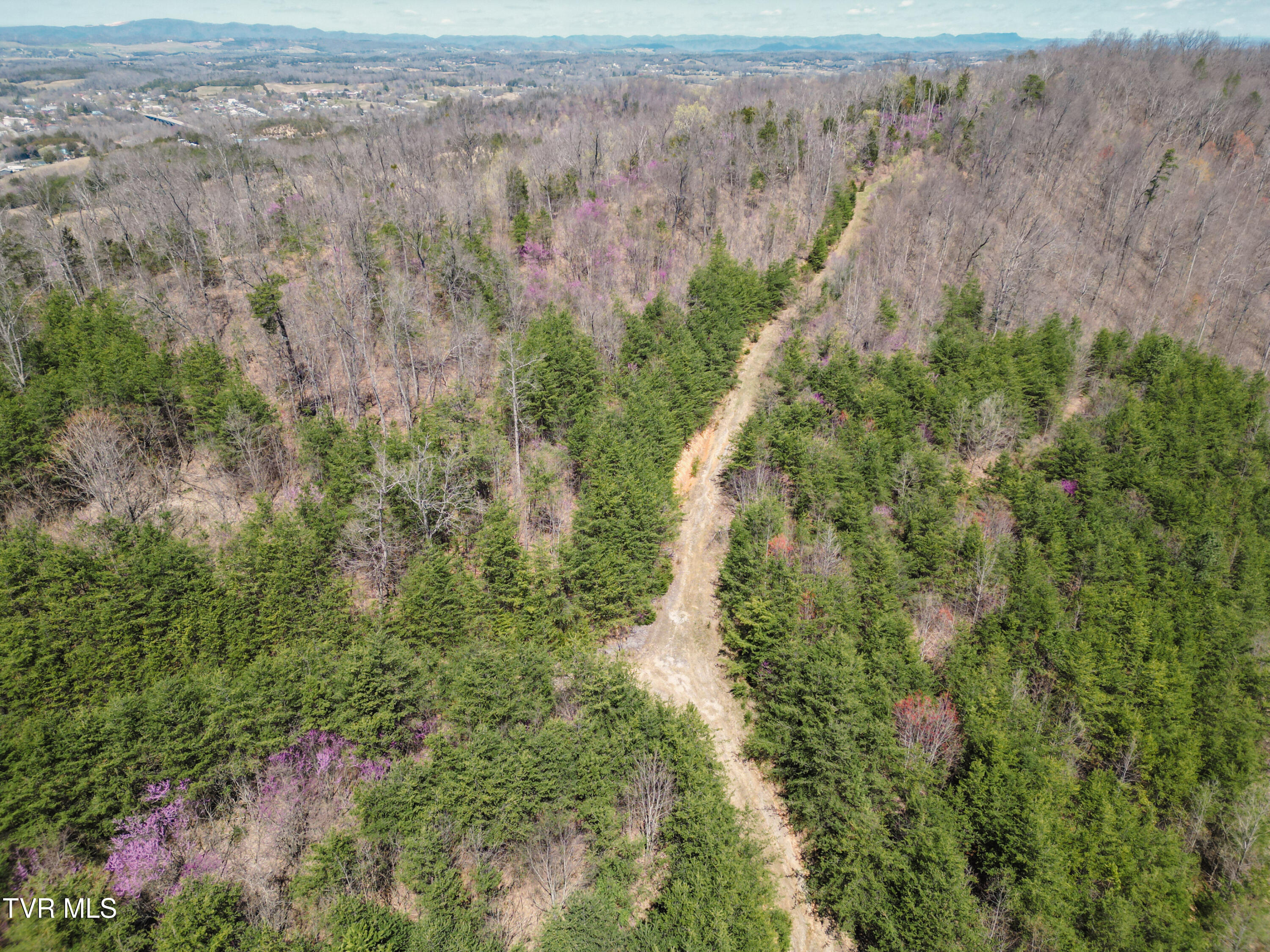 Tbd Stone Mountain Road Bulls Gap, TN 37711 - Photo 6 of 36 DanielleRickerPhotography-0341