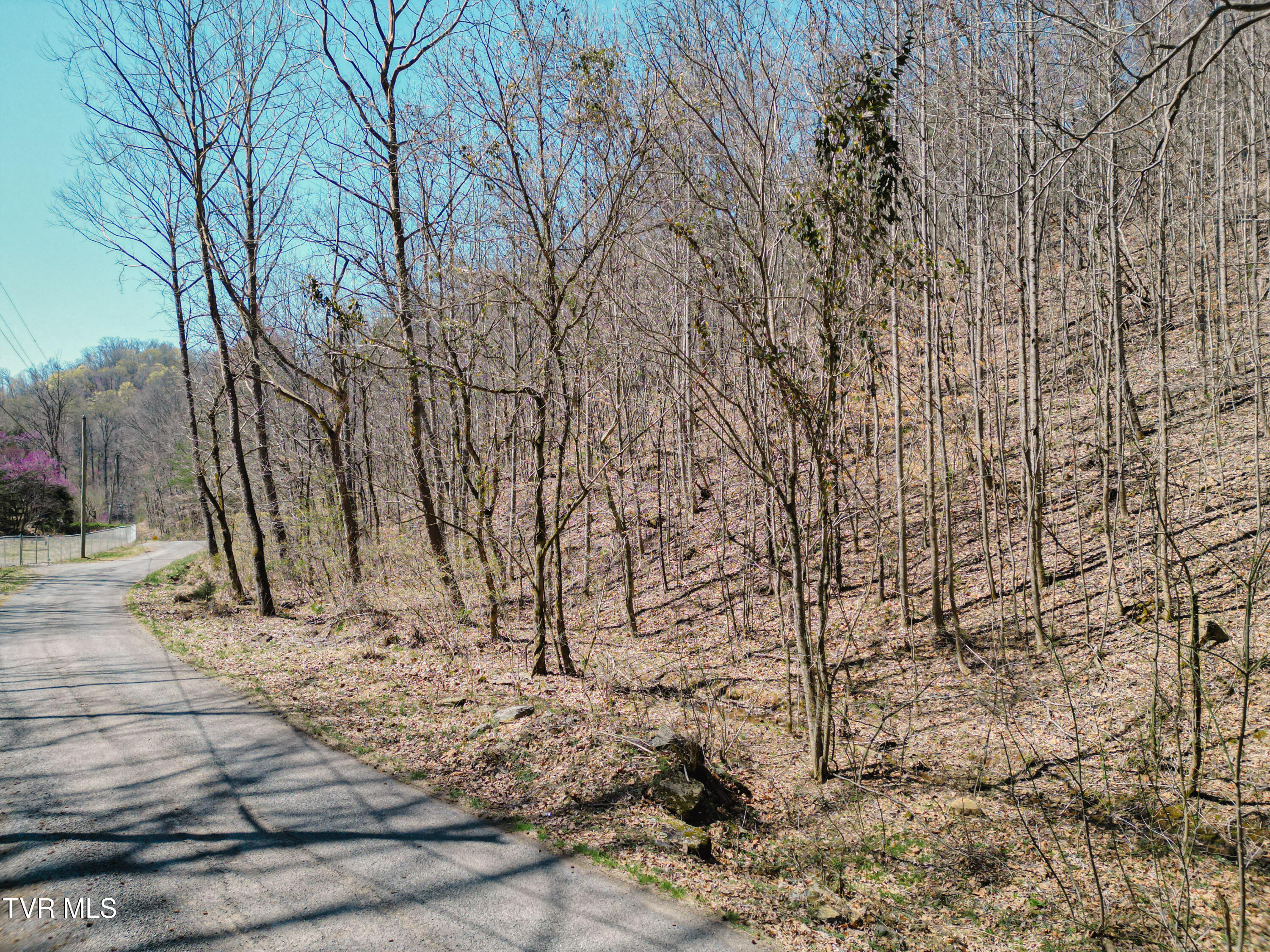 Tbd Stone Mountain Road Bulls Gap, TN 37711 - Photo 7 of 36 DanielleRickerPhotography-0320