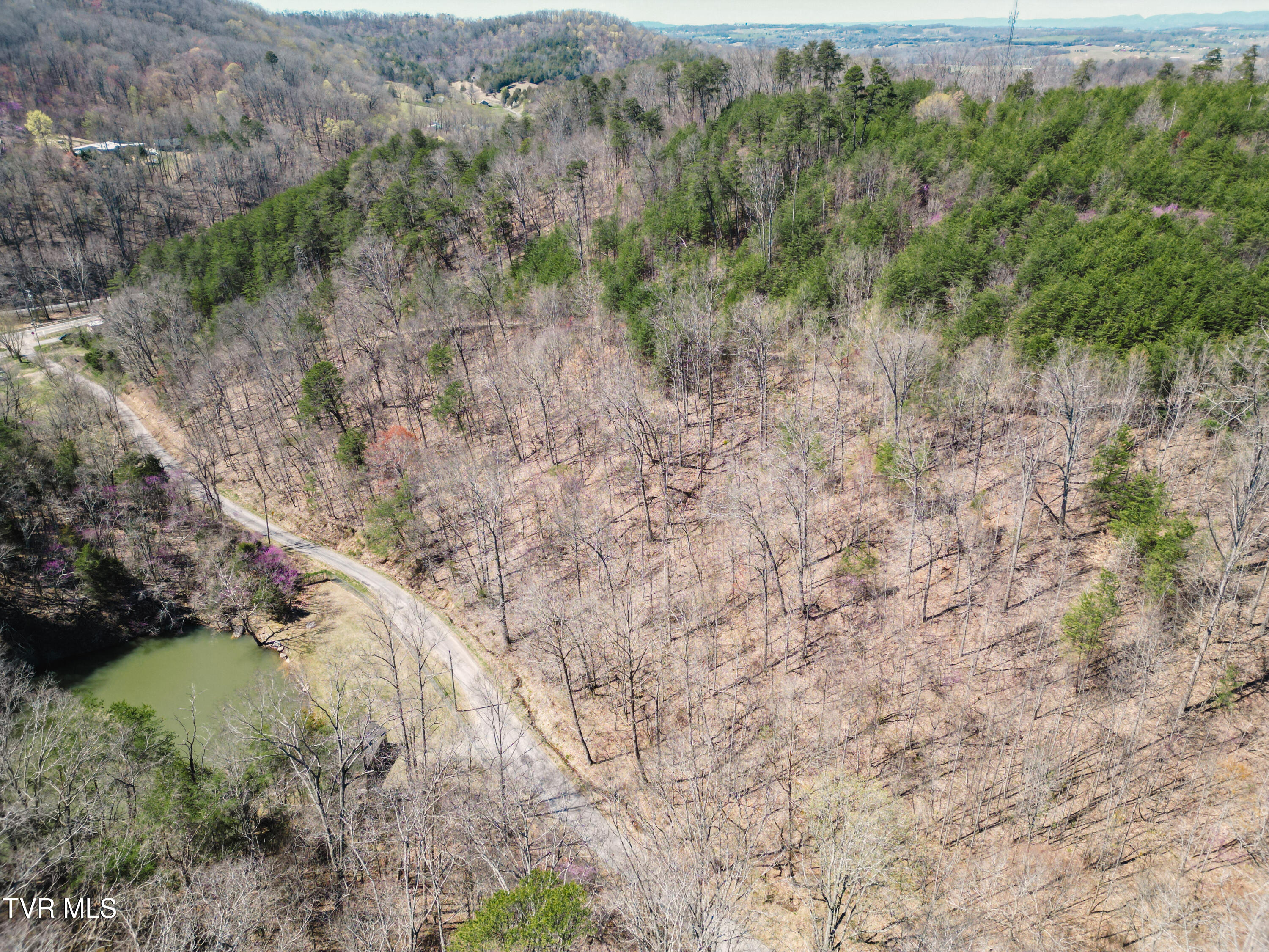 Tbd Stone Mountain Road Bulls Gap, TN 37711 - Photo 8 of 36 DanielleRickerPhotography-0324