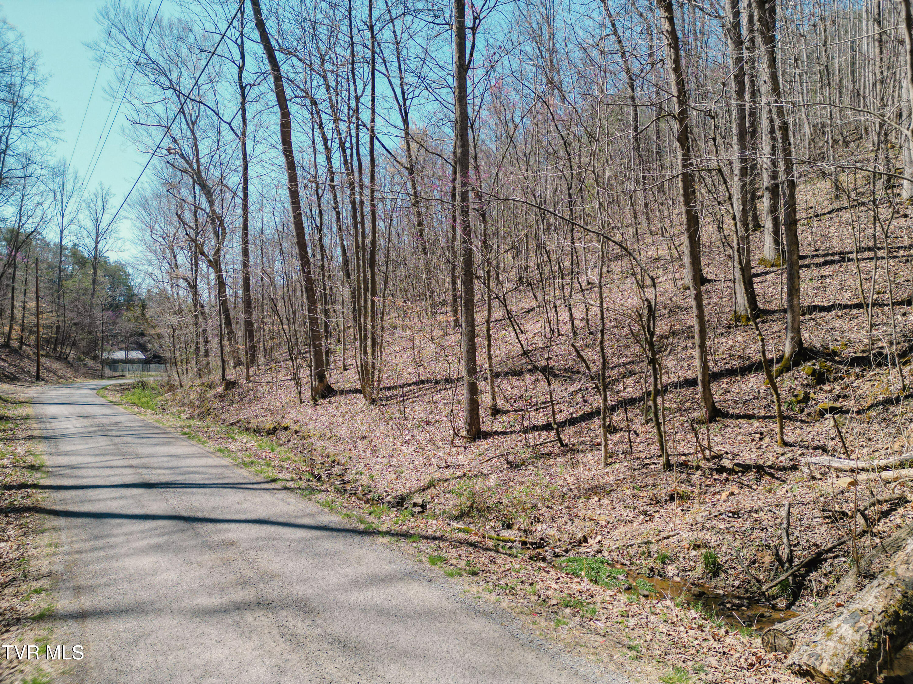 Tbd Stone Mountain Road Bulls Gap, TN 37711 - Photo 9 of 36 DanielleRickerPhotography-0316