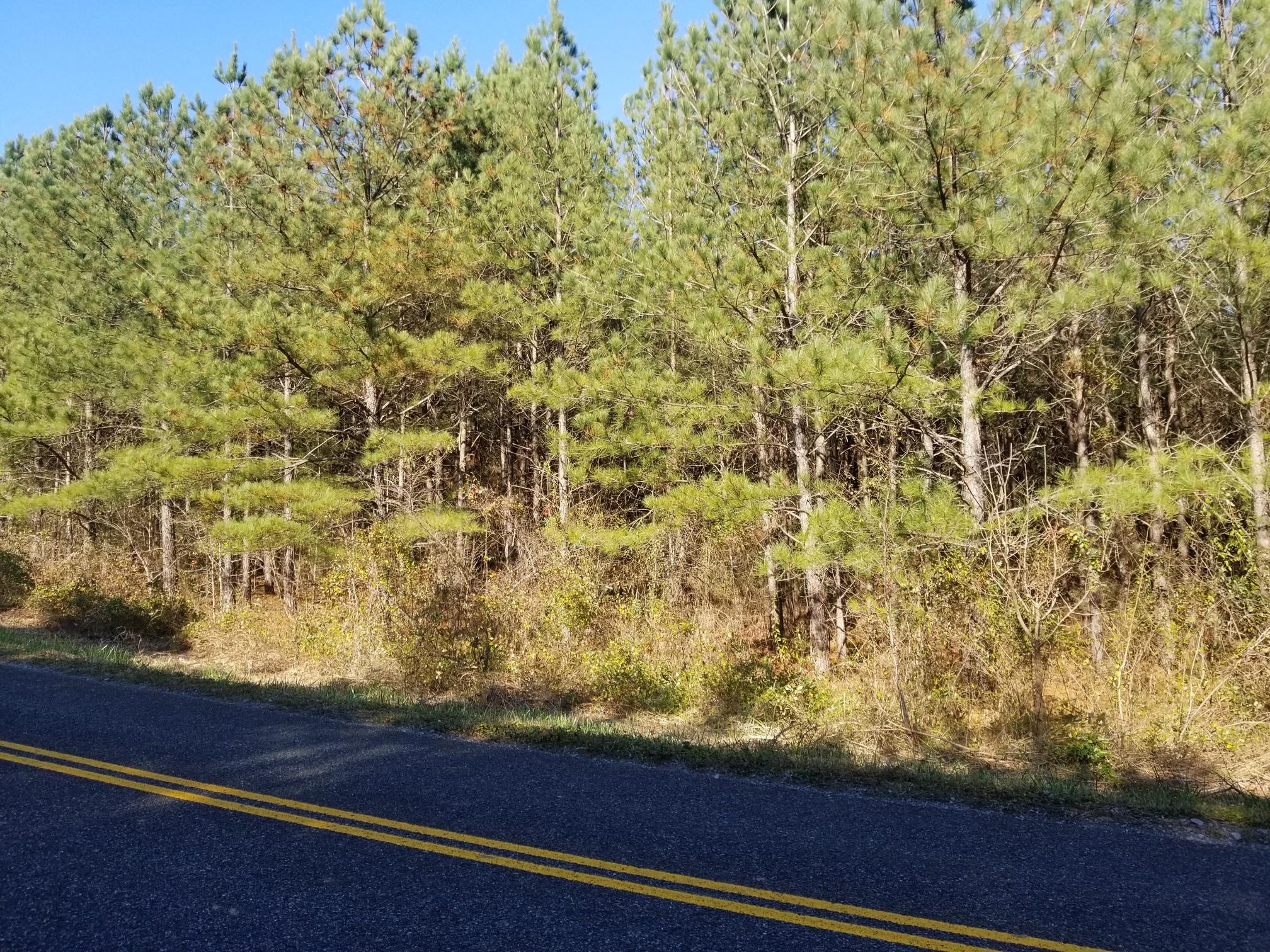 31 Stewart Road, Unit 5 8AC Graysville, TN 37338 - Photo 6 of 8 20171129_115014_resized