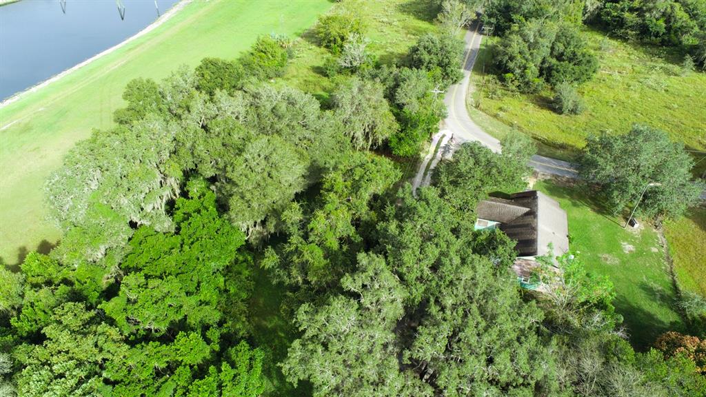 9358 Harney Road Thonotosassa, FL 33592 - Photo 17 of 20