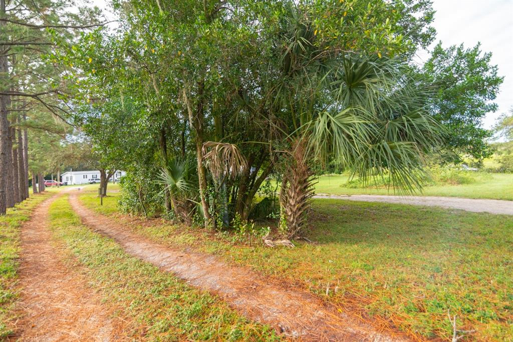 9358 Harney Road Thonotosassa, FL 33592 - Photo 3 of 20