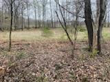 45 Lake Russell Road Newfoundland, PA 18445 - Photo 2 of 8